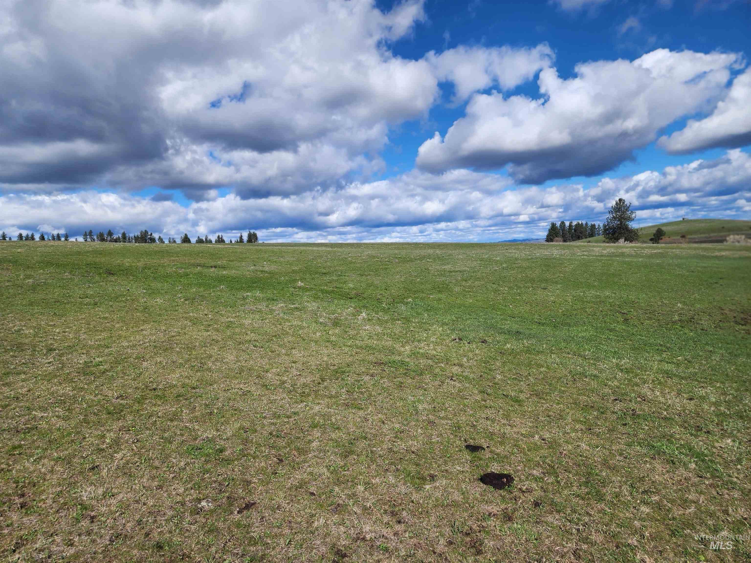 253 Brotnov Road Parcel 2, Clearwater, Idaho 83552, Land For Sale, Price $270,000,MLS 98985452