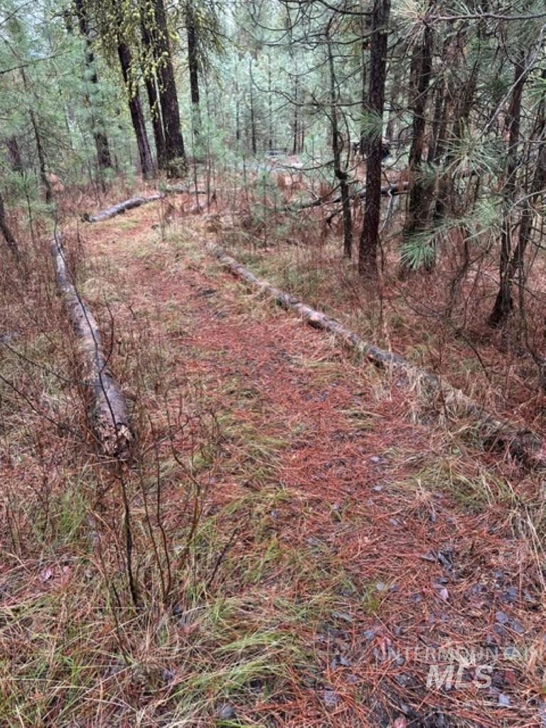 45 Joshua Drive, Cascade, Idaho 83611, Land For Sale, Price $199,900,MLS 98985460
