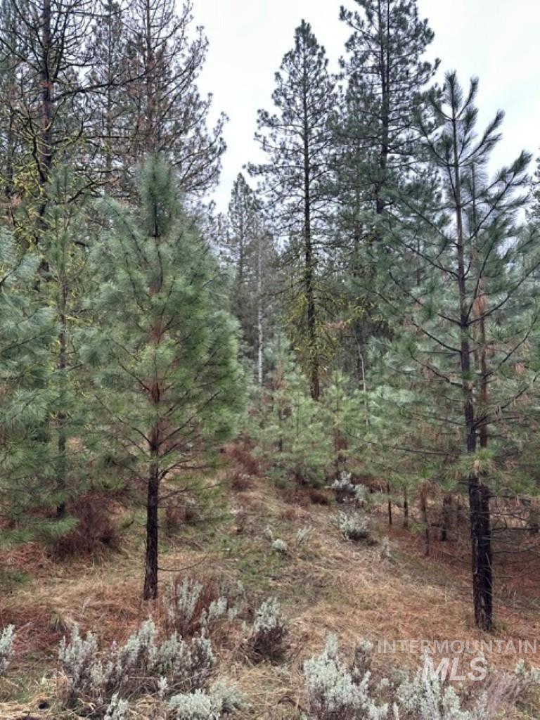 45 Joshua Drive, Cascade, Idaho 83611, Land For Sale, Price $199,900,MLS 98985460