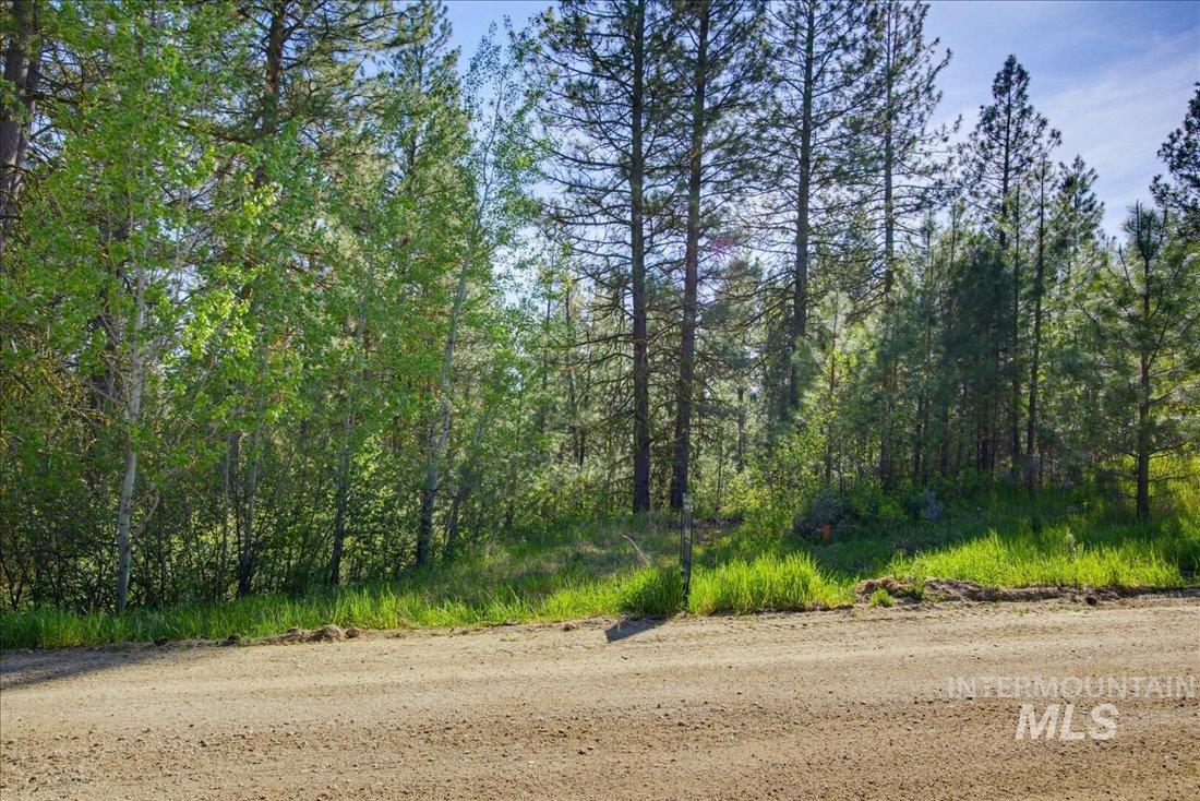 45 Joshua Drive, Cascade, Idaho 83611, Land For Sale, Price $155,900, 98985460
