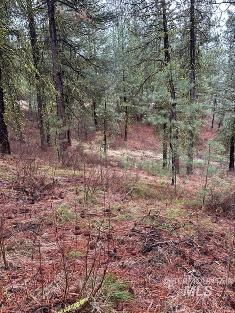45 Joshua Drive, Cascade, Idaho 83611, Land For Sale, Price $199,900,MLS 98985460