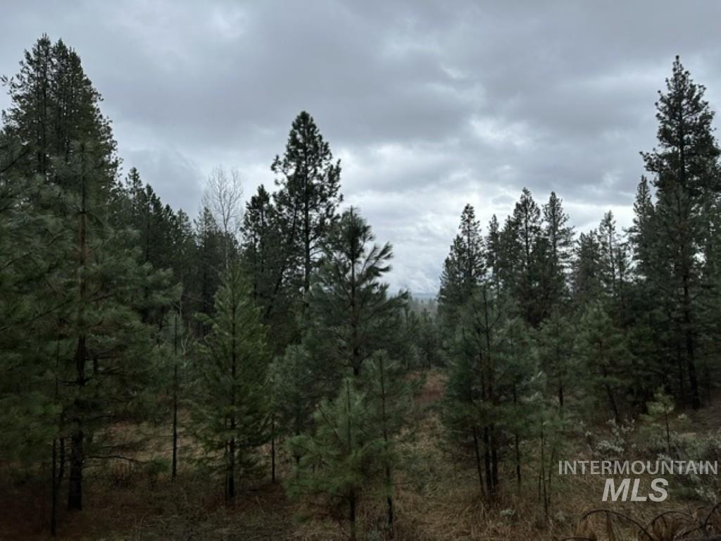 45 Joshua Drive, Cascade, Idaho 83611, Land For Sale, Price $199,900,MLS 98985460