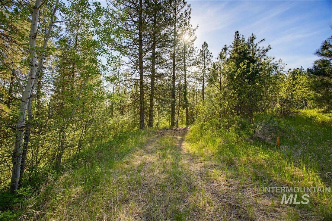 45 Joshua Drive, Cascade, Idaho 83611, Land For Sale, Price $155,900, 98985460