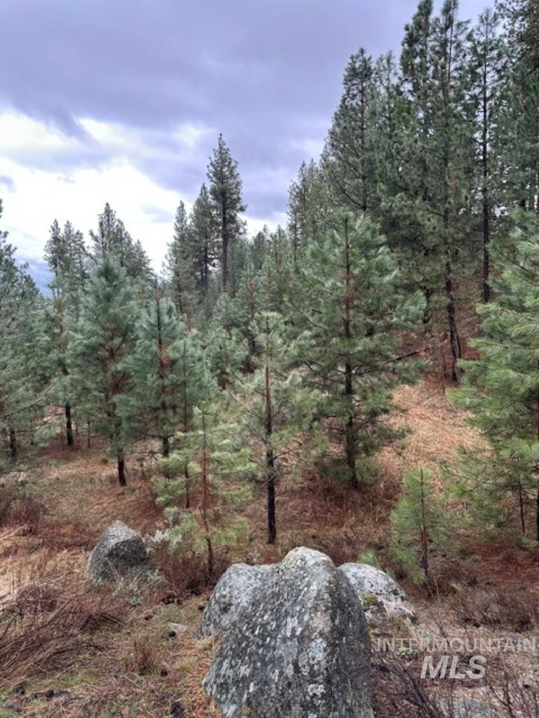 45 Joshua Drive, Cascade, Idaho 83611, Land For Sale, Price $199,900,MLS 98985460