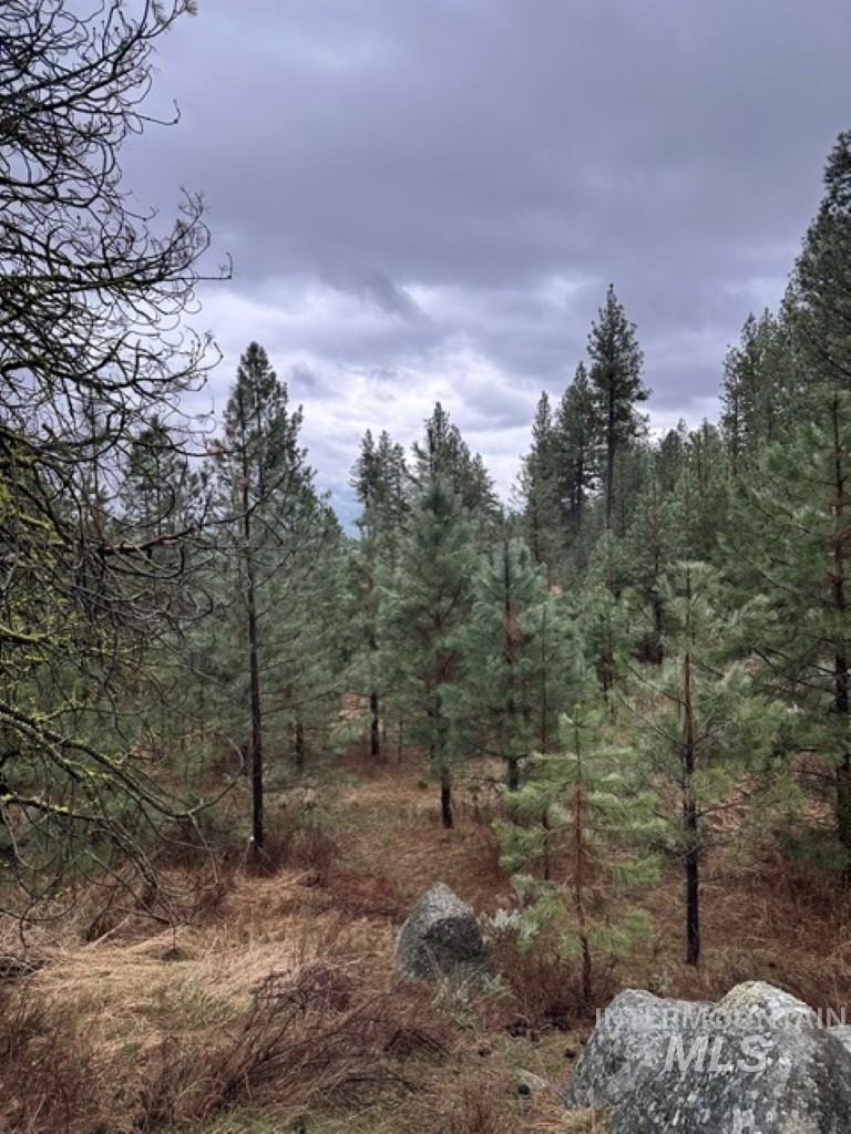 45 Joshua Drive, Cascade, Idaho 83611, Land For Sale, Price $199,900,MLS 98985460