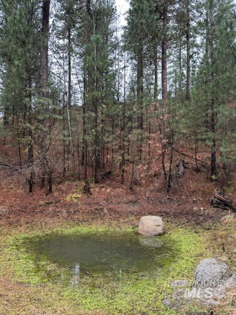 45 Joshua Drive, Cascade, Idaho 83611, Land For Sale, Price $199,900,MLS 98985460
