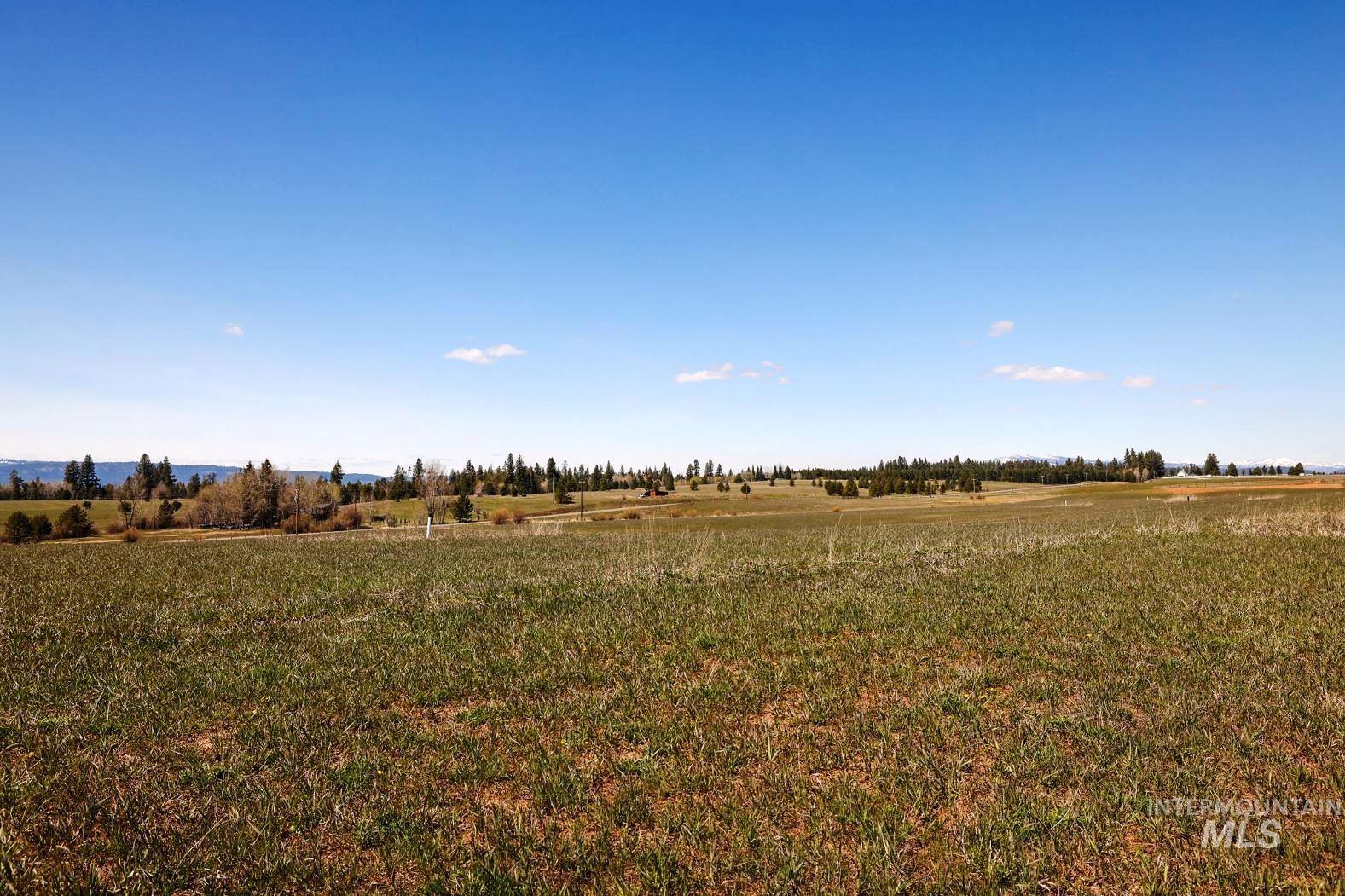 76 Willey Lane, McCall, Idaho 83638, Land For Sale, Price $499,000, 98985463