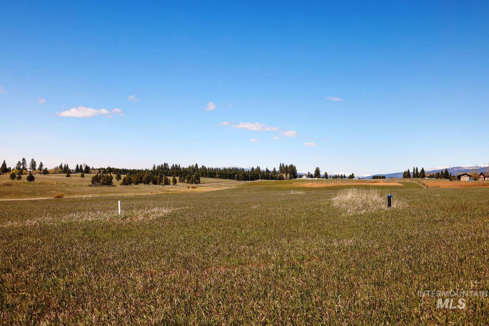 76 Willey Lane, McCall, Idaho 83638, Land For Sale, Price $499,000, 98985463