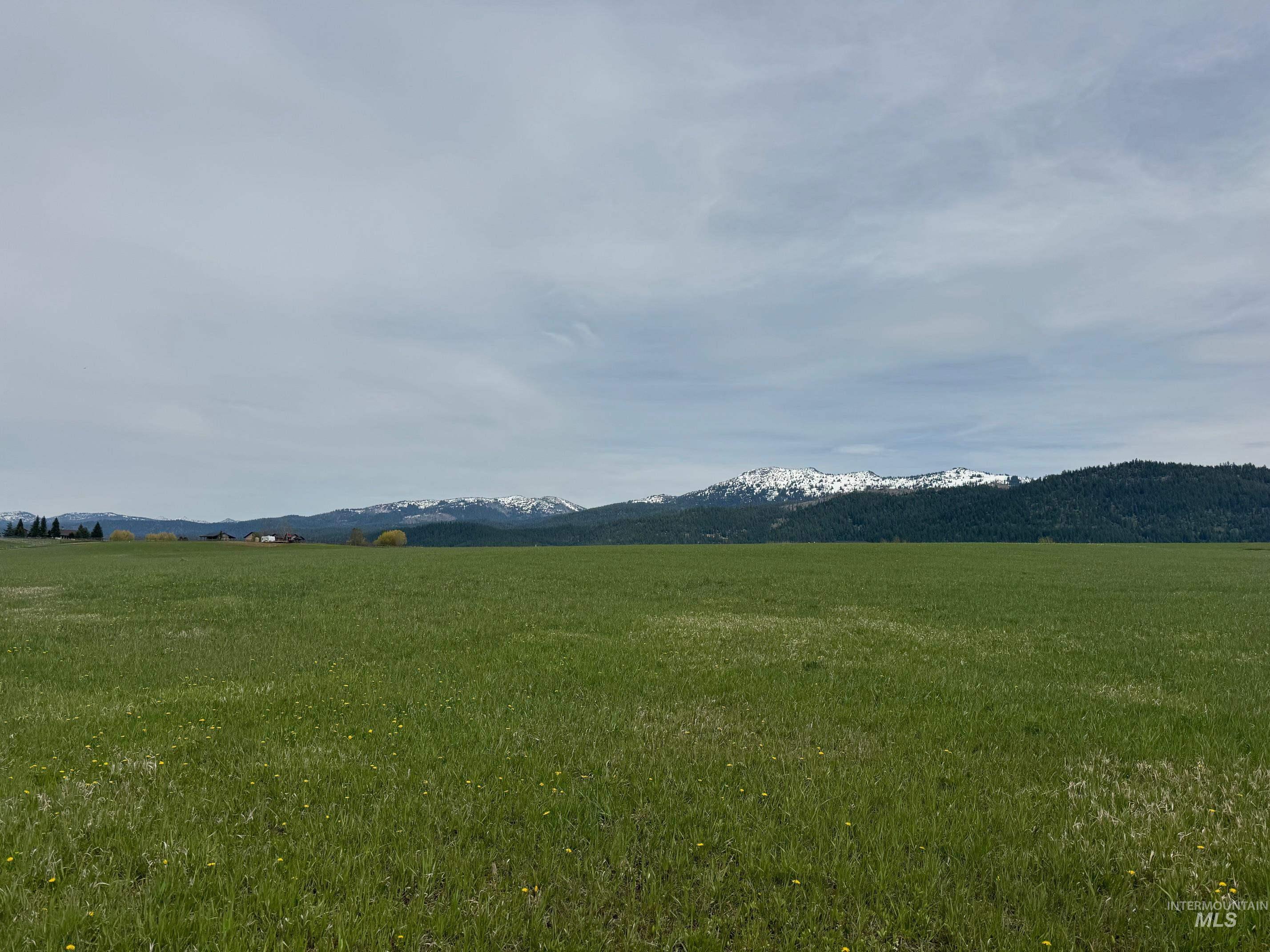 76 Willey Lane, McCall, Idaho 83638, Land For Sale, Price $499,000, 98985463