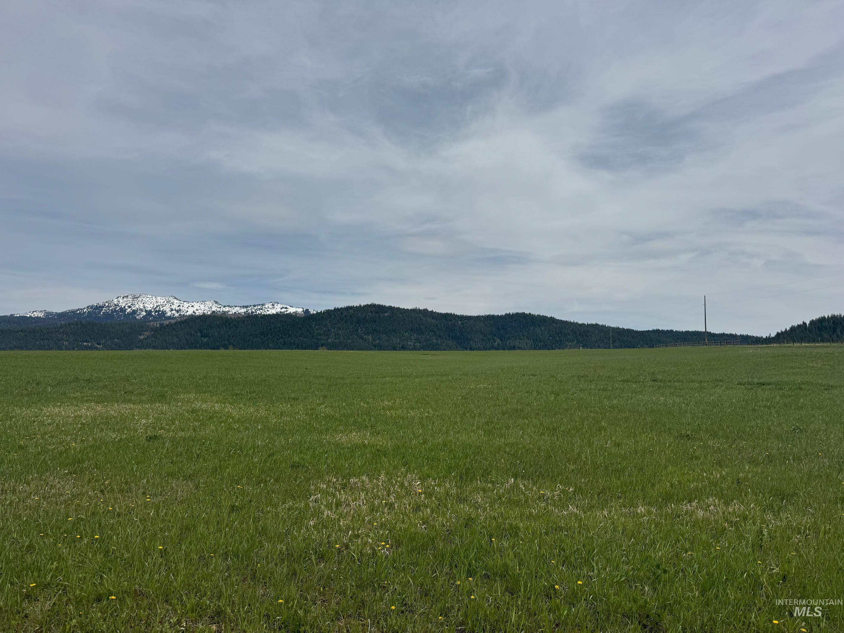 76 Willey Lane, McCall, Idaho 83638, Land For Sale, Price $499,000, 98985463