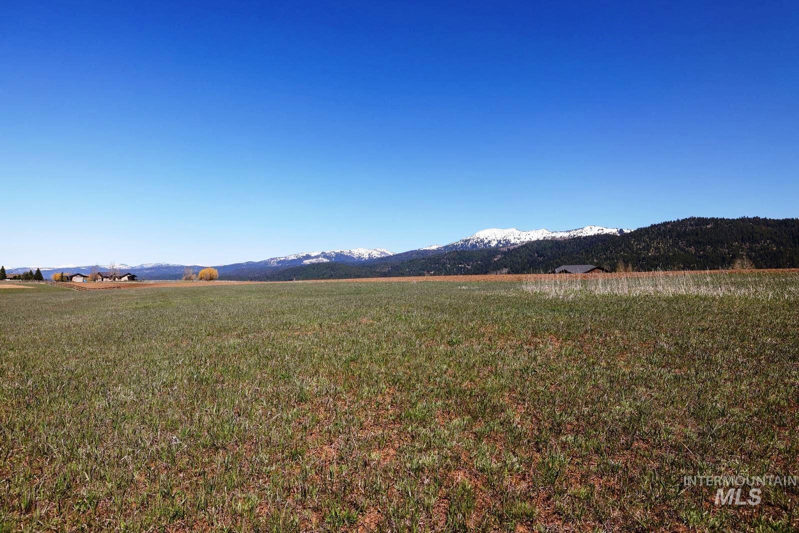 76 Willey Lane, McCall, Idaho 83638, Land For Sale, Price $499,000,MLS 98985463
