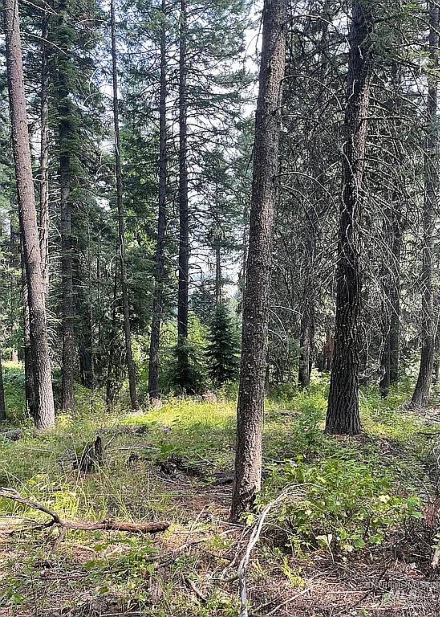 66 Hillside Trail, Donnelly, Idaho 83615, Land For Sale, Price $260,000,MLS 98985479