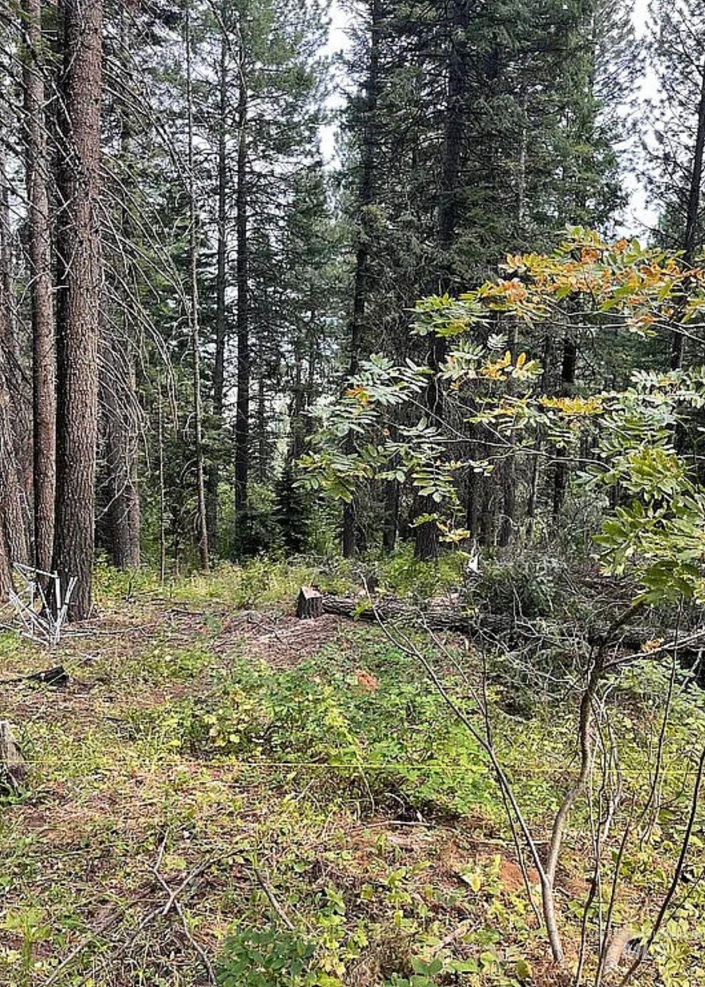 66 Hillside Trail, Donnelly, Idaho 83615, Land For Sale, Price $260,000,MLS 98985479
