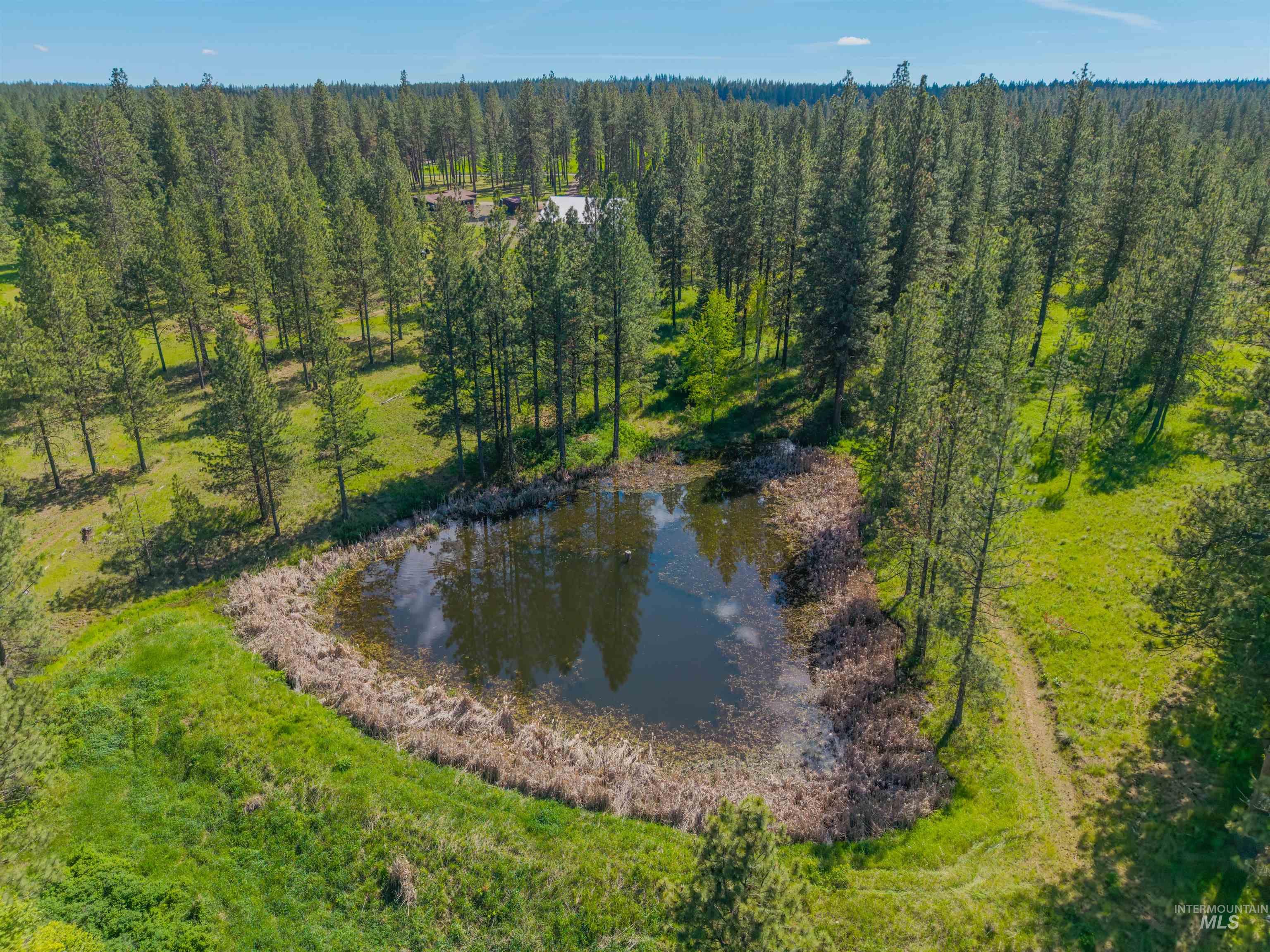 4640 Mill Road, Anatone, Washington 99401, 3 Bedrooms, 2 Bathrooms, Residential For Sale, Price $749,000,MLS 98985549