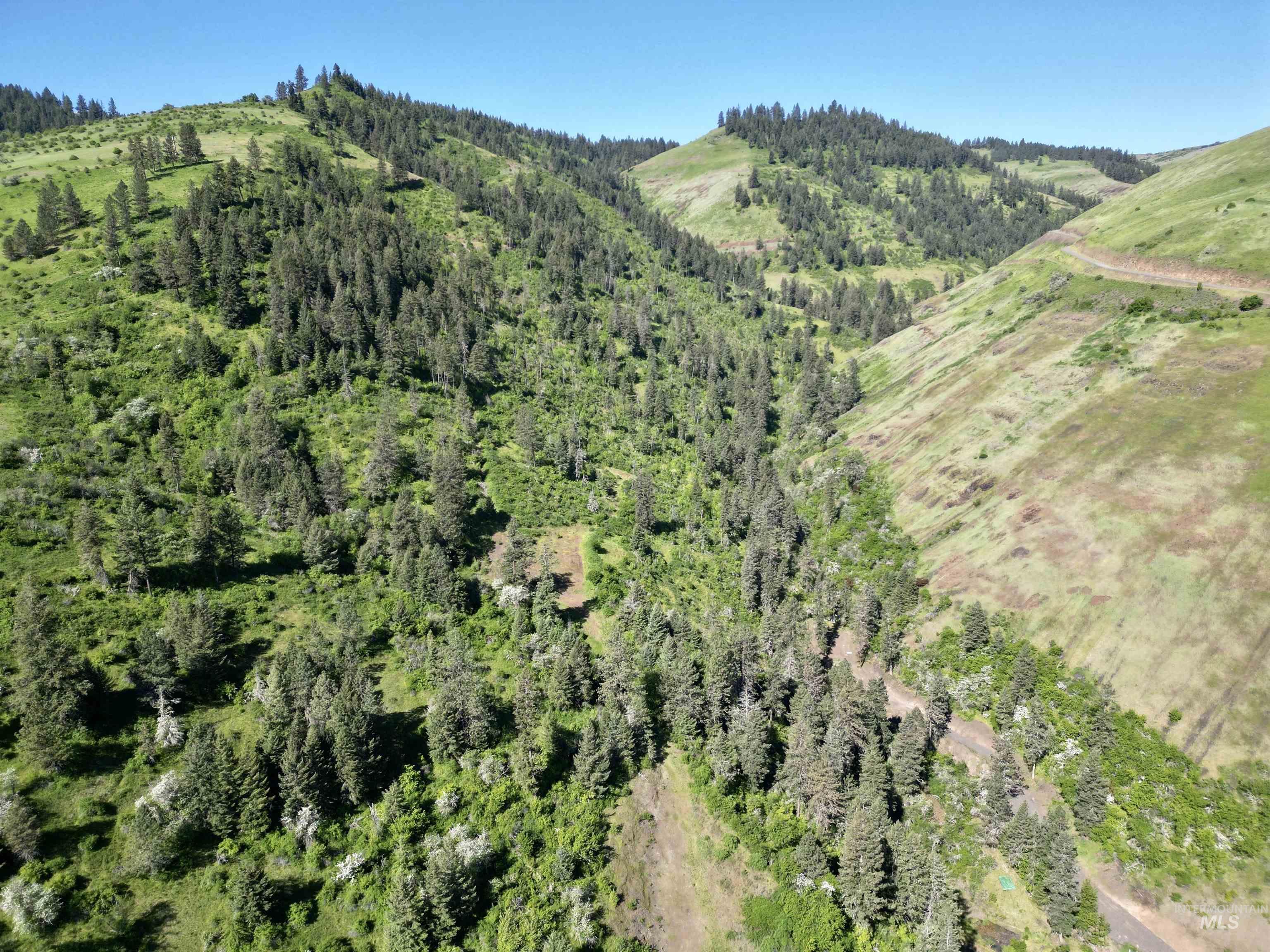 Lots 4 & 5 Hidden Canyon Sub-Div, Kooskia, Idaho 83539, Land For Sale, Price $235,000,MLS 98985570