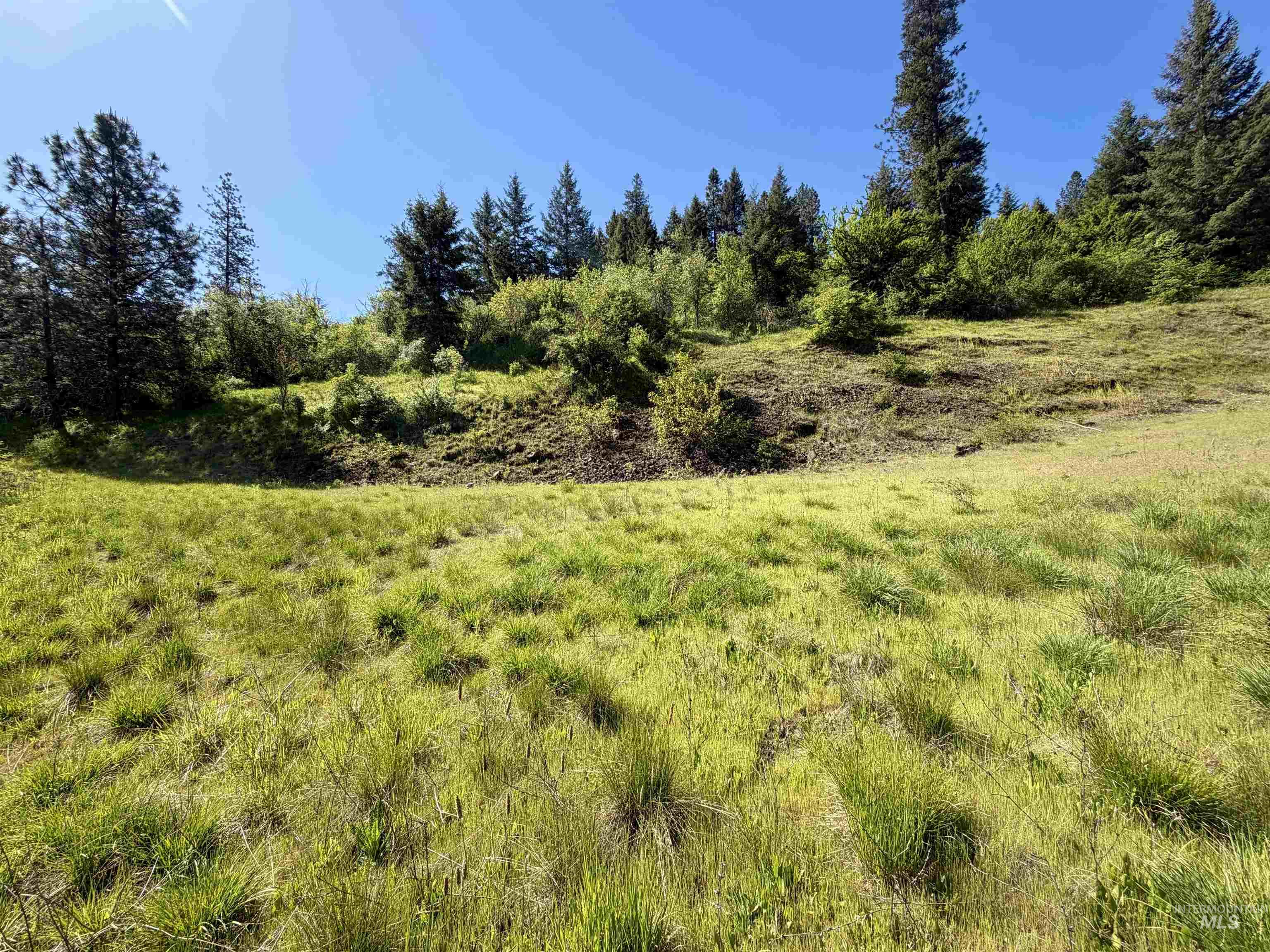 Lots 4 & 5 Hidden Canyon Sub-Div, Kooskia, Idaho 83539, Land For Sale, Price $235,000,MLS 98985570