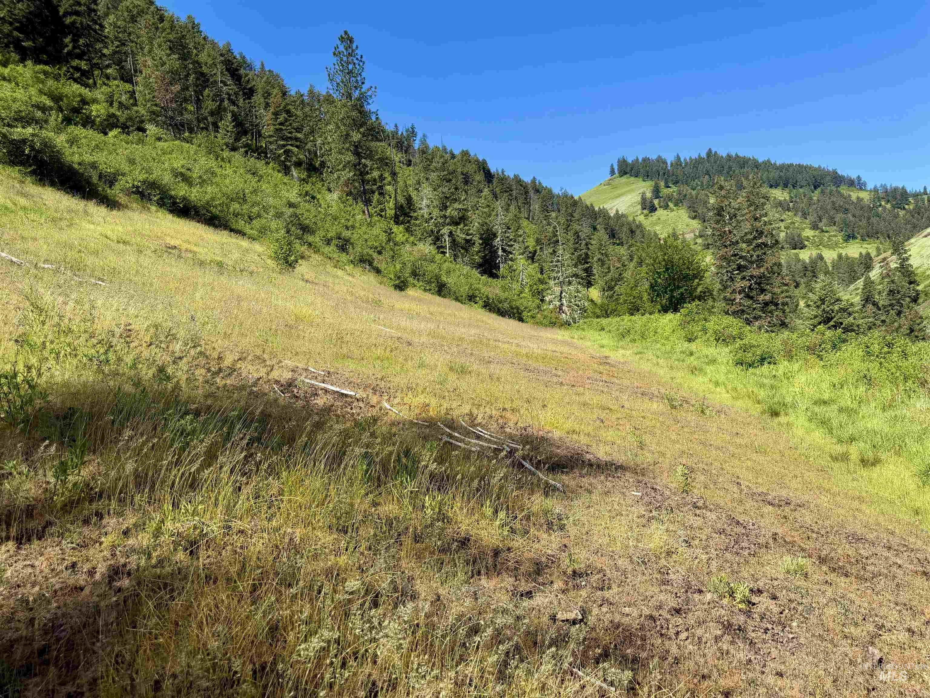 Lots 4 & 5 Hidden Canyon Sub-Div, Kooskia, Idaho 83539, Land For Sale, Price $235,000,MLS 98985570