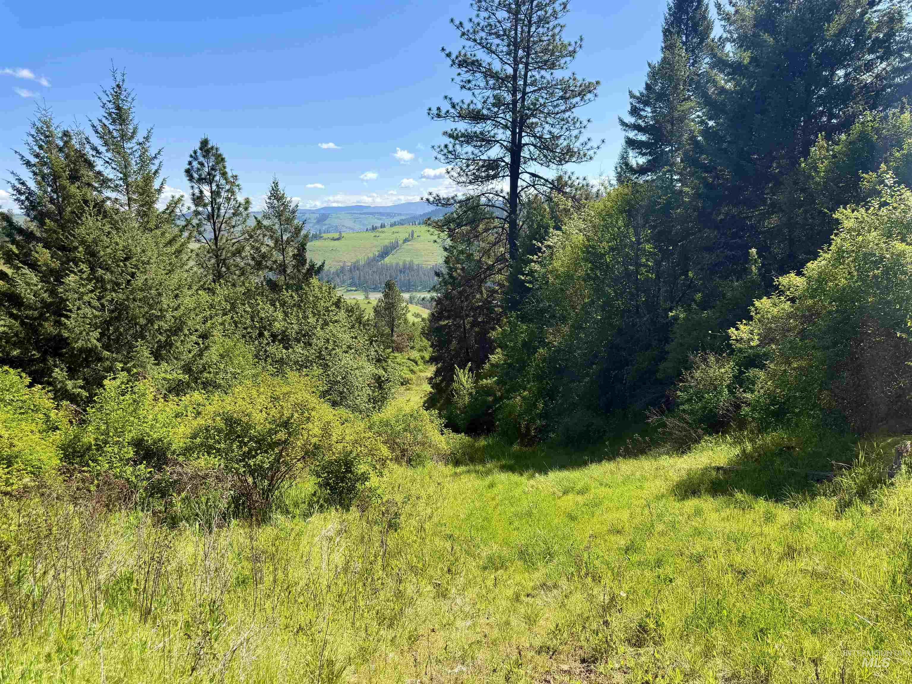Lots 4 & 5 Hidden Canyon Sub-Div, Kooskia, Idaho 83539, Land For Sale, Price $235,000,MLS 98985570
