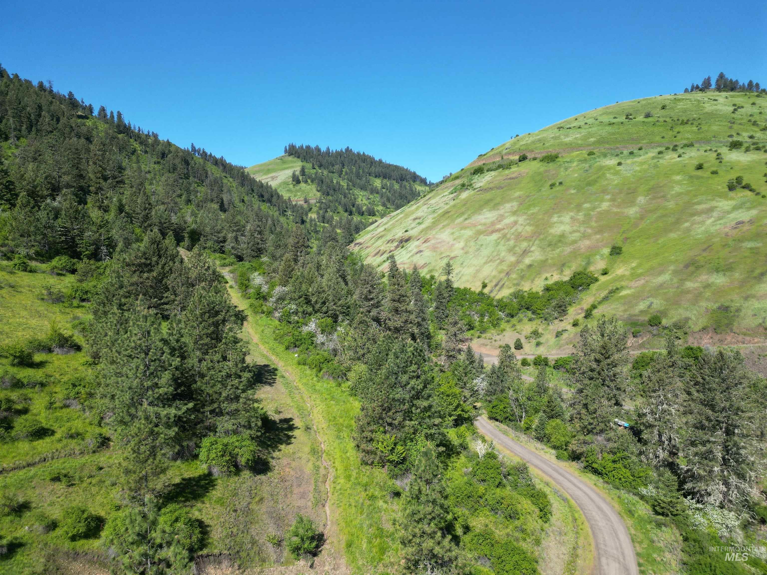 Lots 4 & 5 Hidden Canyon Sub-Div, Kooskia, Idaho 83539, Land For Sale, Price $235,000,MLS 98985570