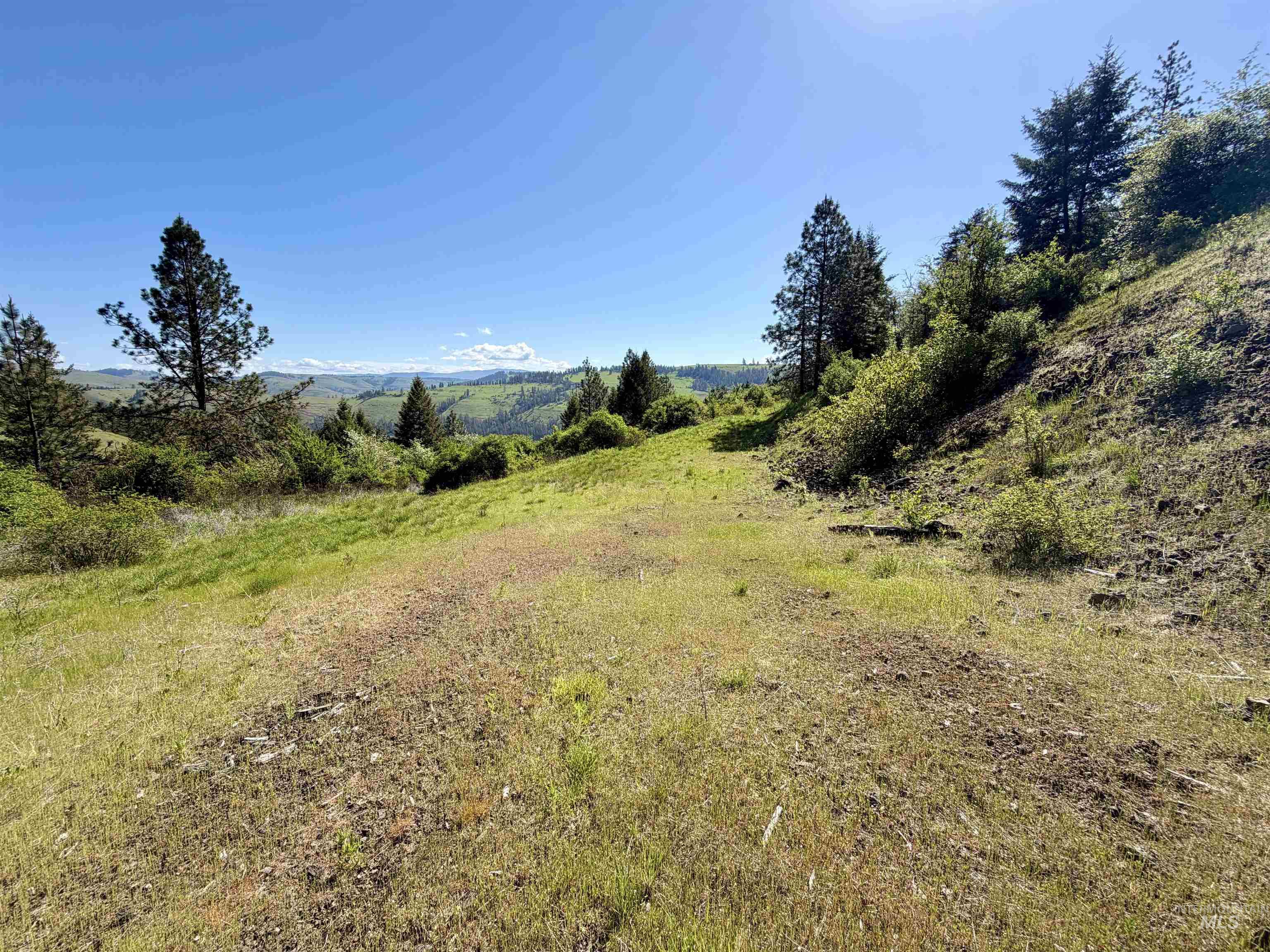 Lots 4 & 5 Hidden Canyon Sub-Div, Kooskia, Idaho 83539, Land For Sale, Price $235,000,MLS 98985570