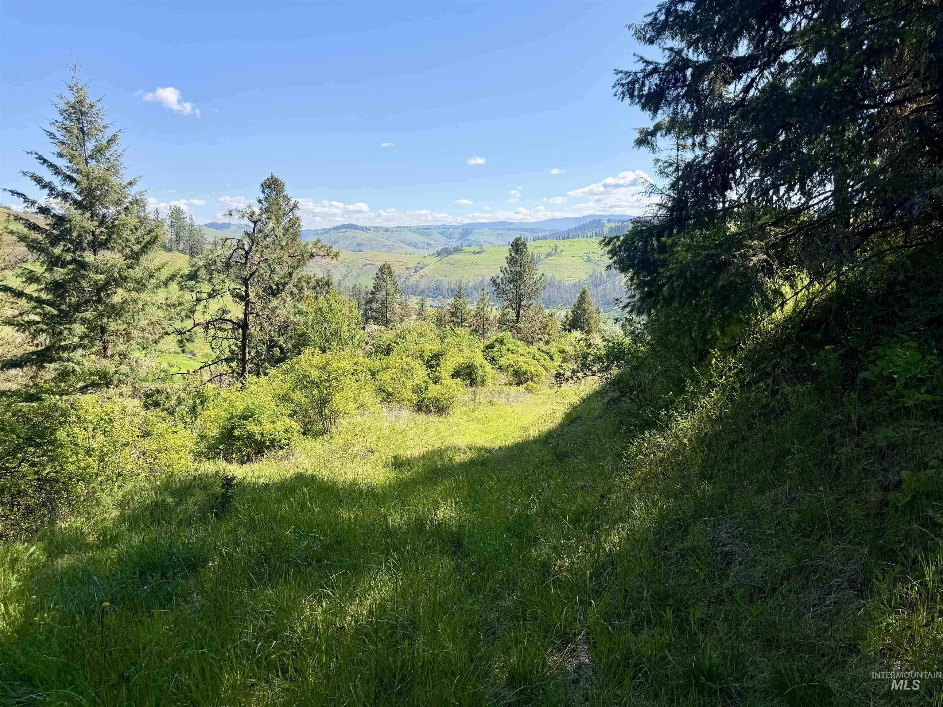 Lots 4 & 5 Hidden Canyon Sub-Div, Kooskia, Idaho 83539, Land For Sale, Price $235,000,MLS 98985570