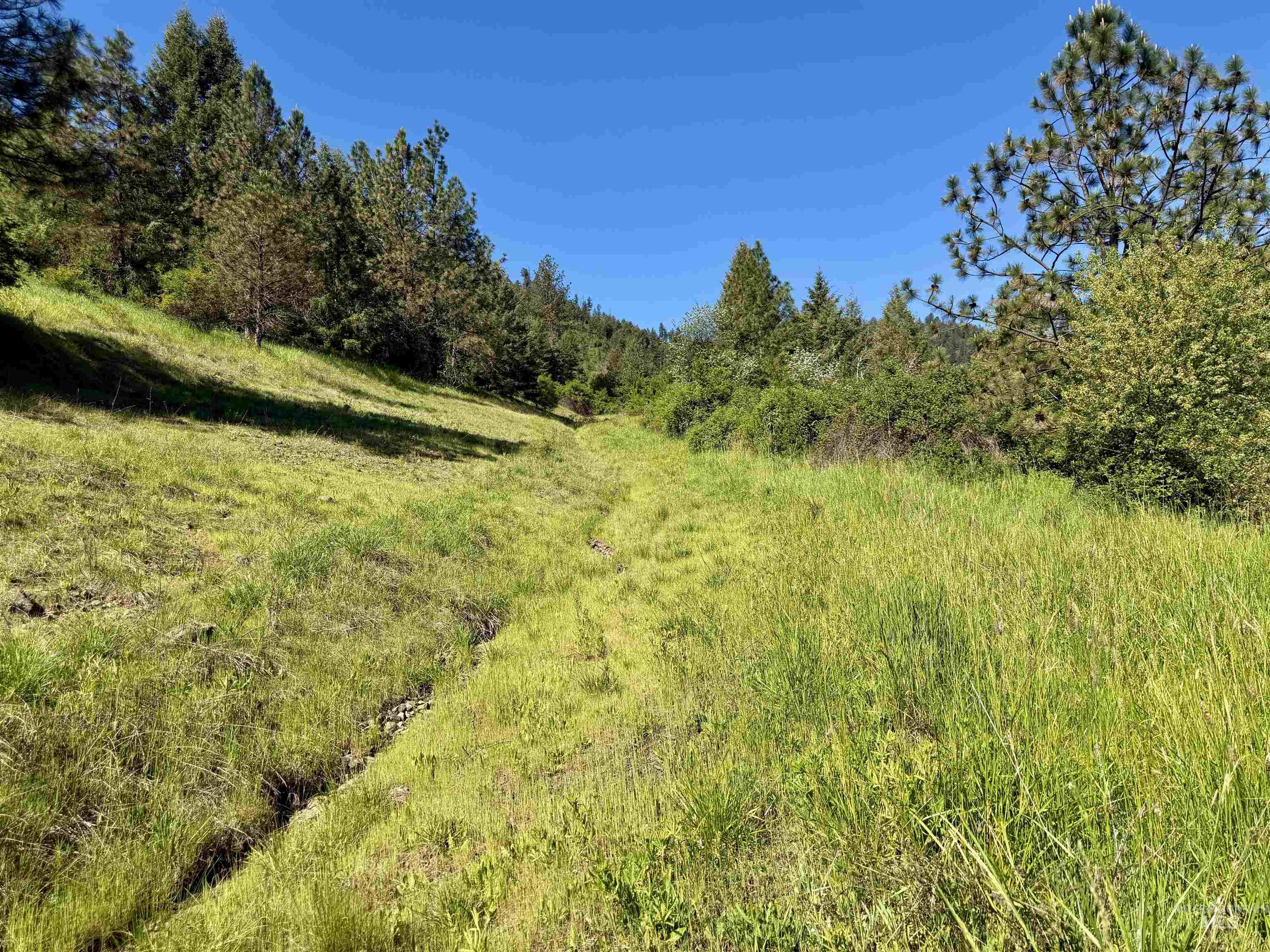Lots 4 & 5 Hidden Canyon Sub-Div, Kooskia, Idaho 83539, Land For Sale, Price $235,000,MLS 98985570