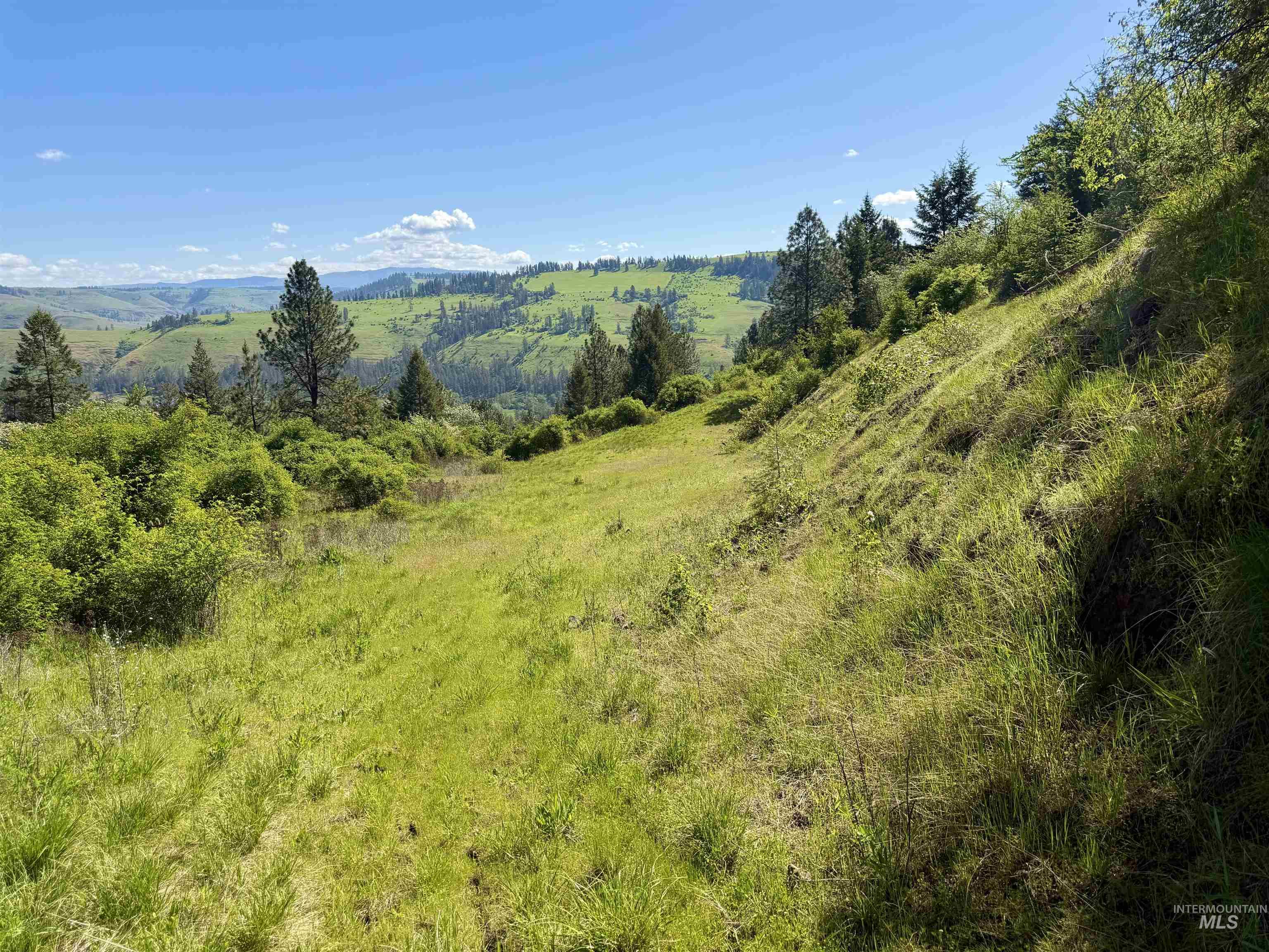 Lots 4 & 5 Hidden Canyon Sub-Div, Kooskia, Idaho 83539, Land For Sale, Price $235,000,MLS 98985570