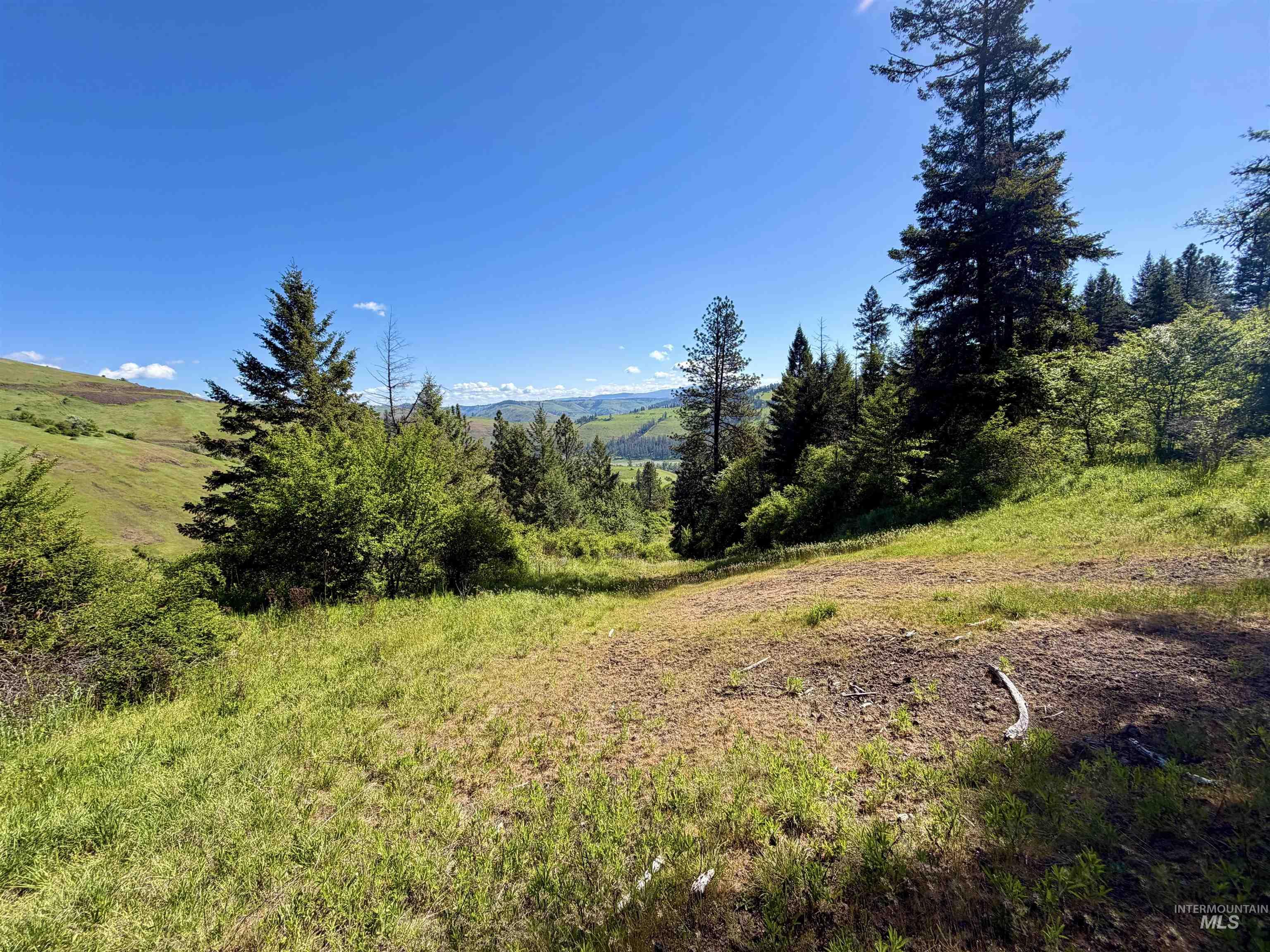 Lots 4 & 5 Hidden Canyon Sub-Div, Kooskia, Idaho 83539, Land For Sale, Price $235,000,MLS 98985570