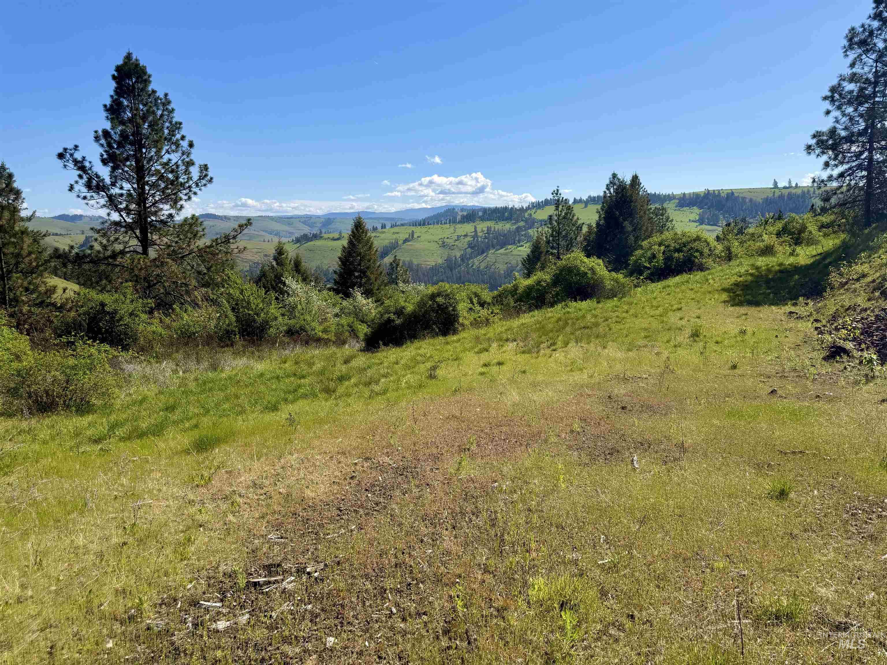 Lots 4 & 5 Hidden Canyon Sub-Div, Kooskia, Idaho 83539, Land For Sale, Price $235,000,MLS 98985570