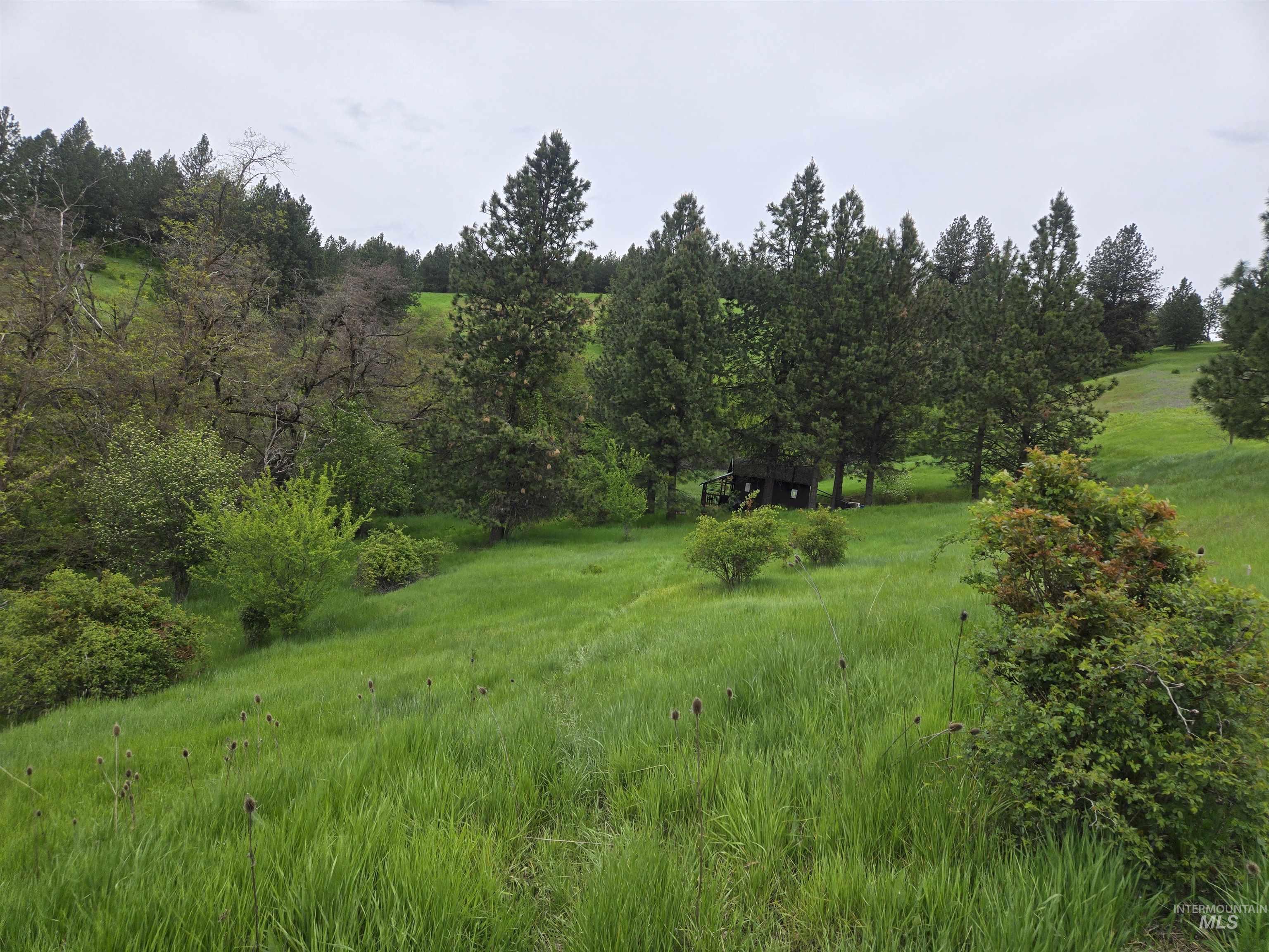 1521 Summitview Drive, Ahsahka, Idaho 83520, 2 Bedrooms, 1 Bathroom, Residential For Sale, Price $425,000,MLS 98985612