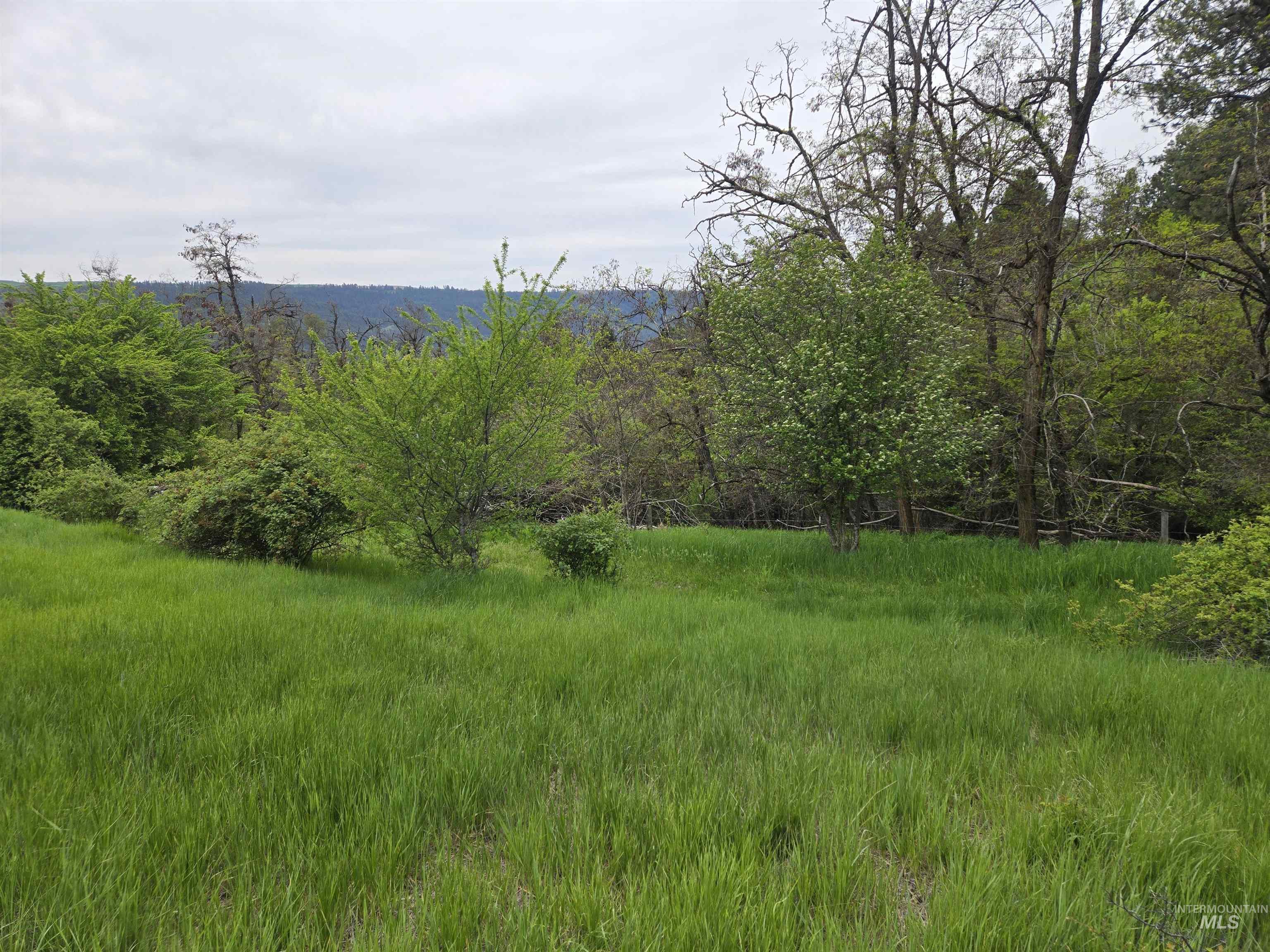 1521 Summitview Drive, Ahsahka, Idaho 83520, 2 Bedrooms, 1 Bathroom, Residential For Sale, Price $425,000,MLS 98985612