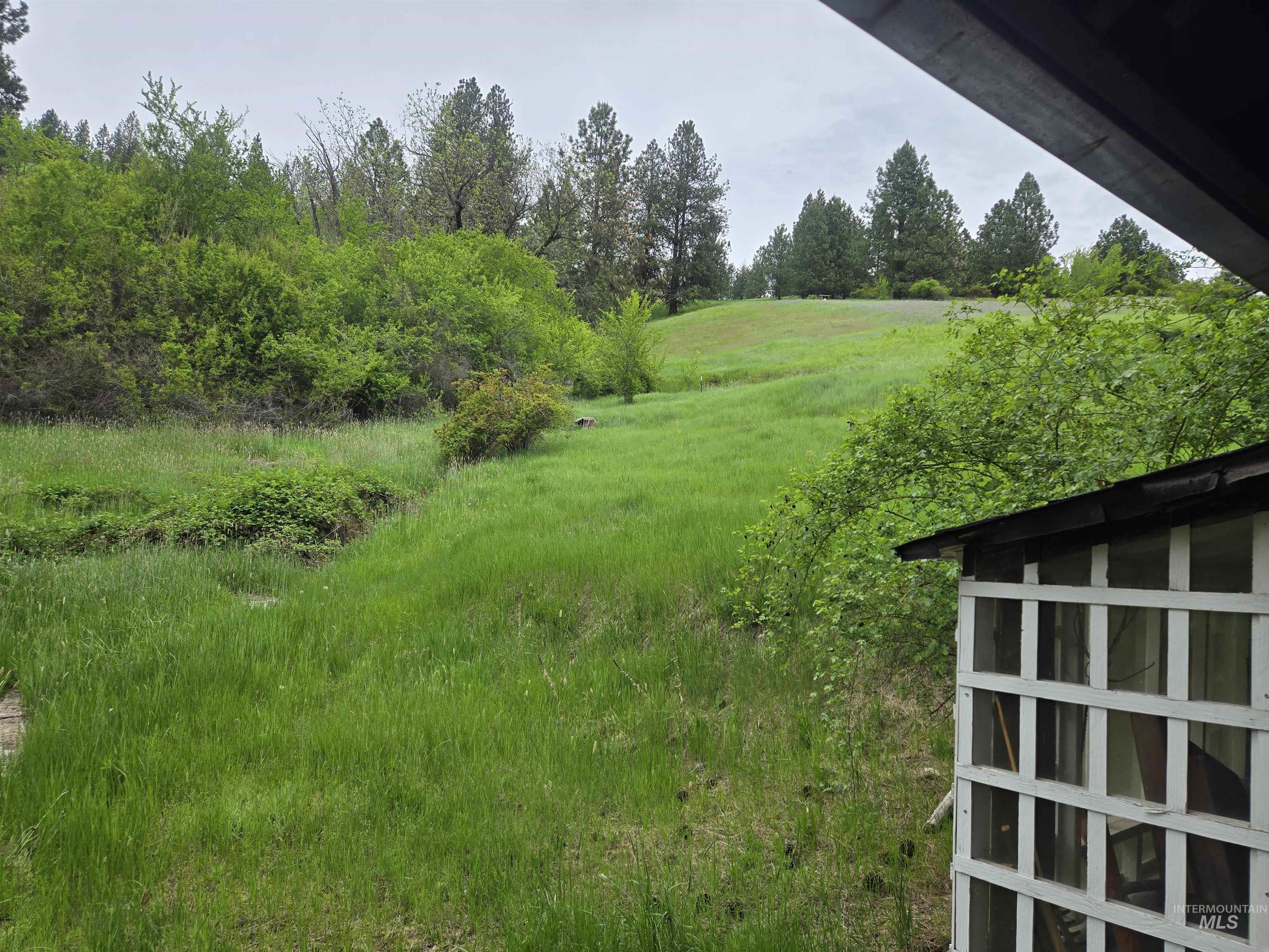 1521 Summitview Drive, Ahsahka, Idaho 83520, 2 Bedrooms, 1 Bathroom, Residential For Sale, Price $425,000,MLS 98985612