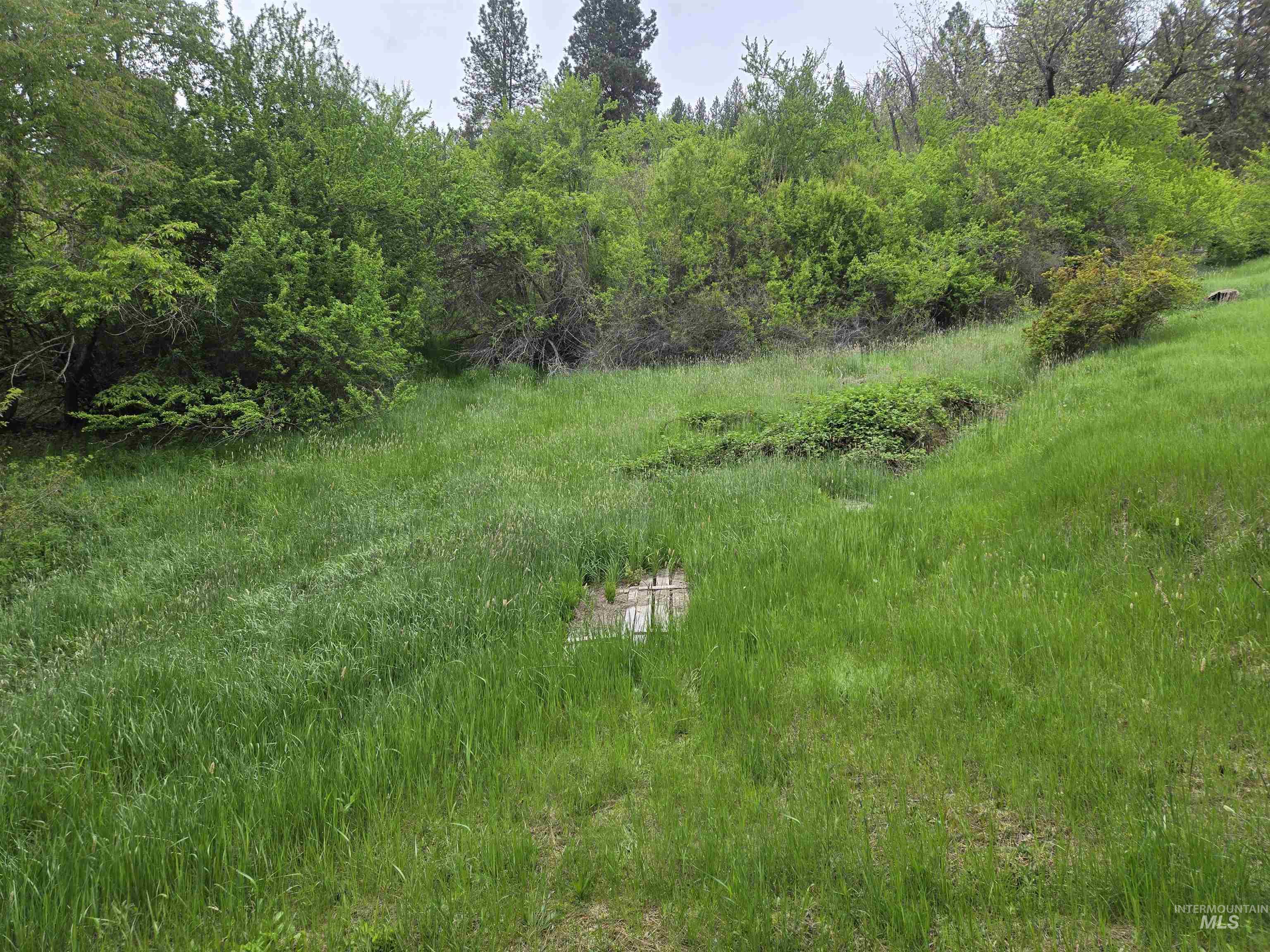 1521 Summitview Drive, Ahsahka, Idaho 83520, 2 Bedrooms, 1 Bathroom, Residential For Sale, Price $425,000,MLS 98985612