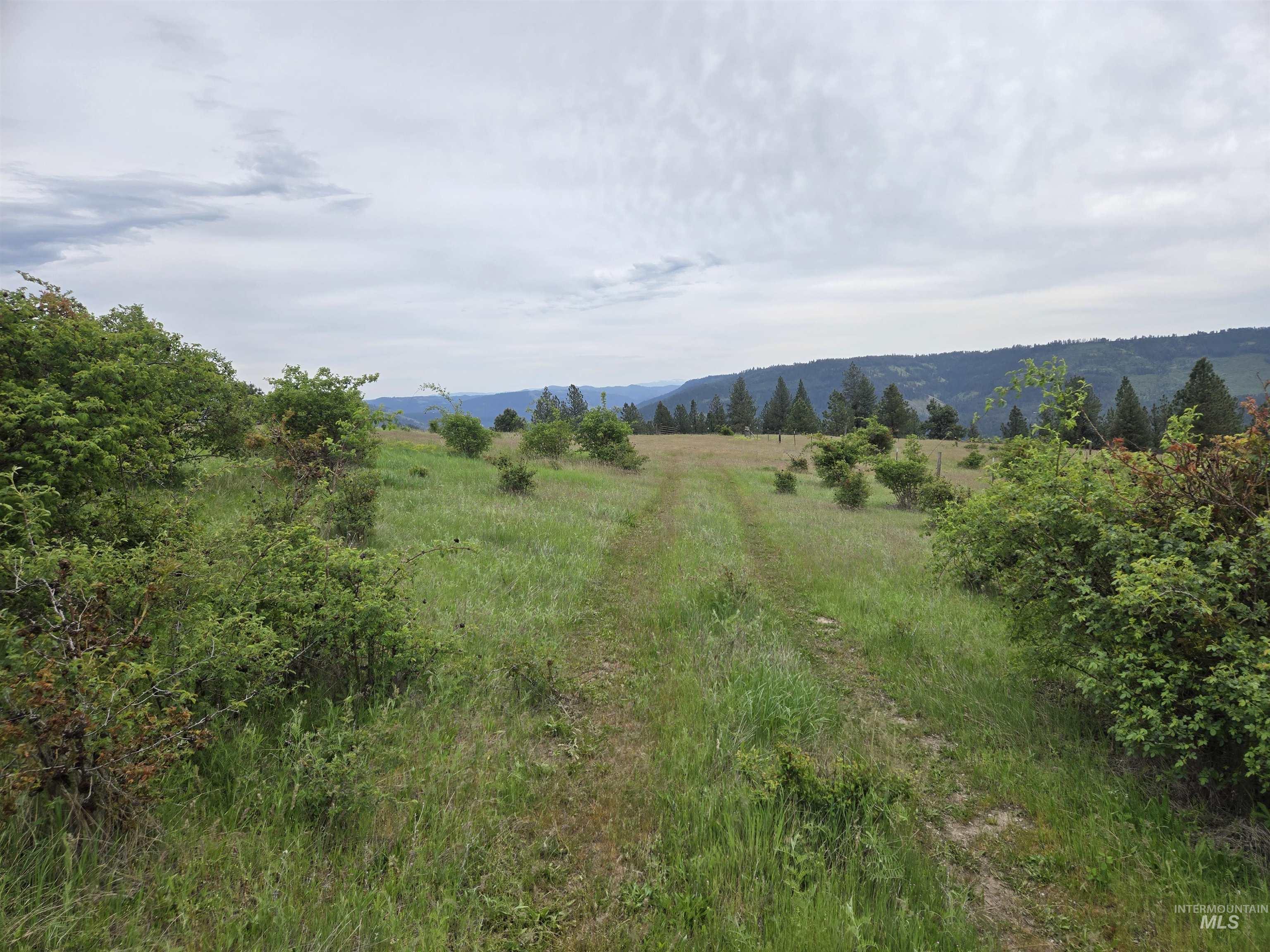 1521 Summitview Drive, Ahsahka, Idaho 83520, 2 Bedrooms, 1 Bathroom, Residential For Sale, Price $425,000,MLS 98985612
