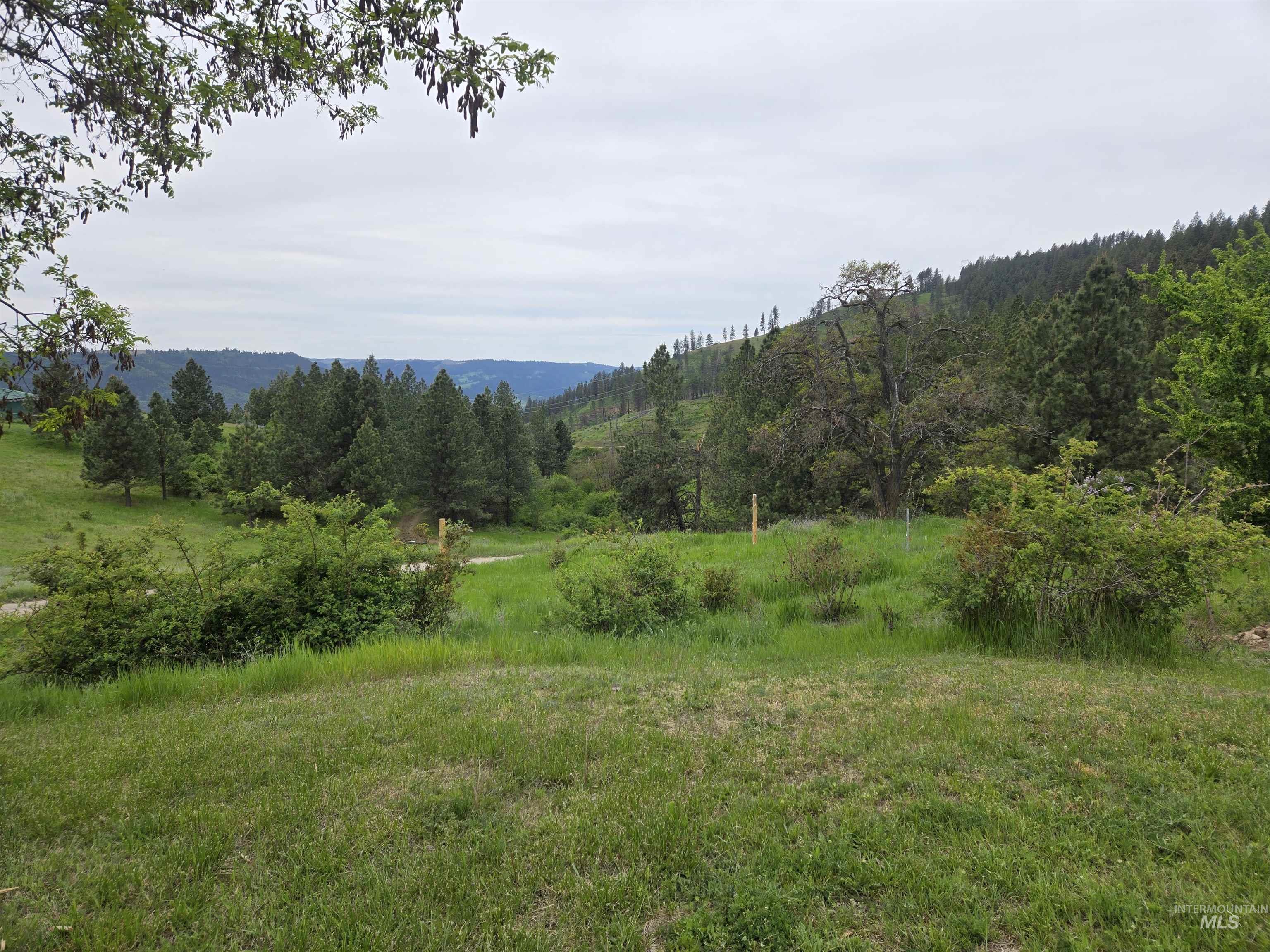 1521 Summitview Drive, Ahsahka, Idaho 83520, 2 Bedrooms, 1 Bathroom, Residential For Sale, Price $425,000,MLS 98985612