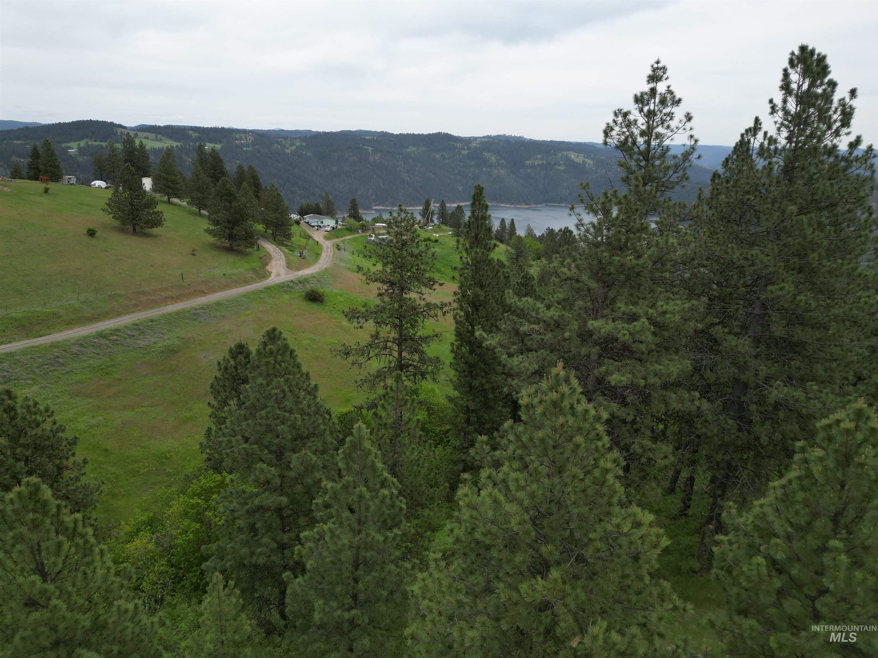 1510 Summitview Driave, Ahsahka, Idaho 83520, 2 Bedrooms, 1 Bathroom, Residential For Sale, Price $225,000,MLS 98985626