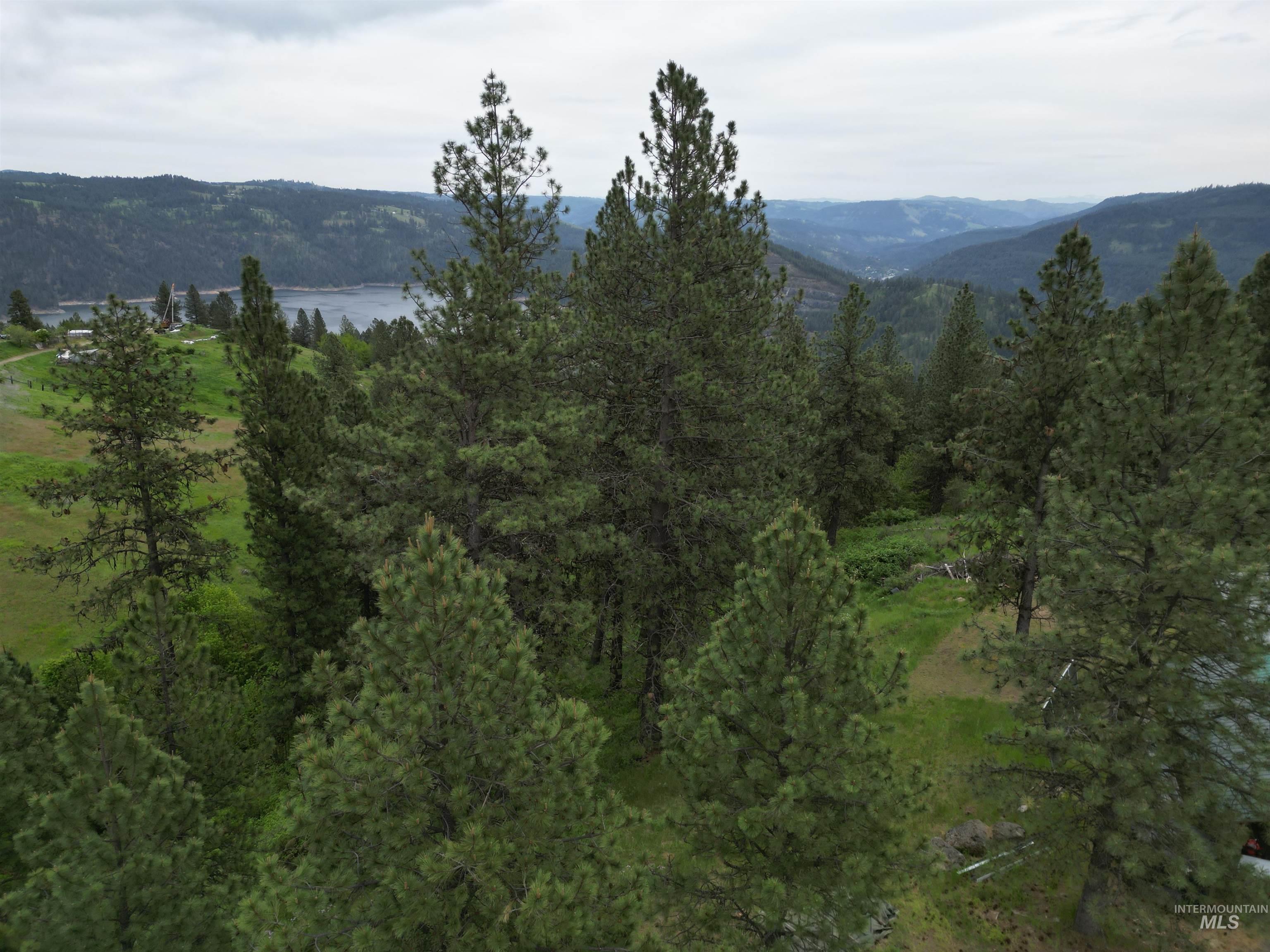 1510 Summitview Driave, Ahsahka, Idaho 83520, 2 Bedrooms, 1 Bathroom, Residential For Sale, Price $225,000,MLS 98985626