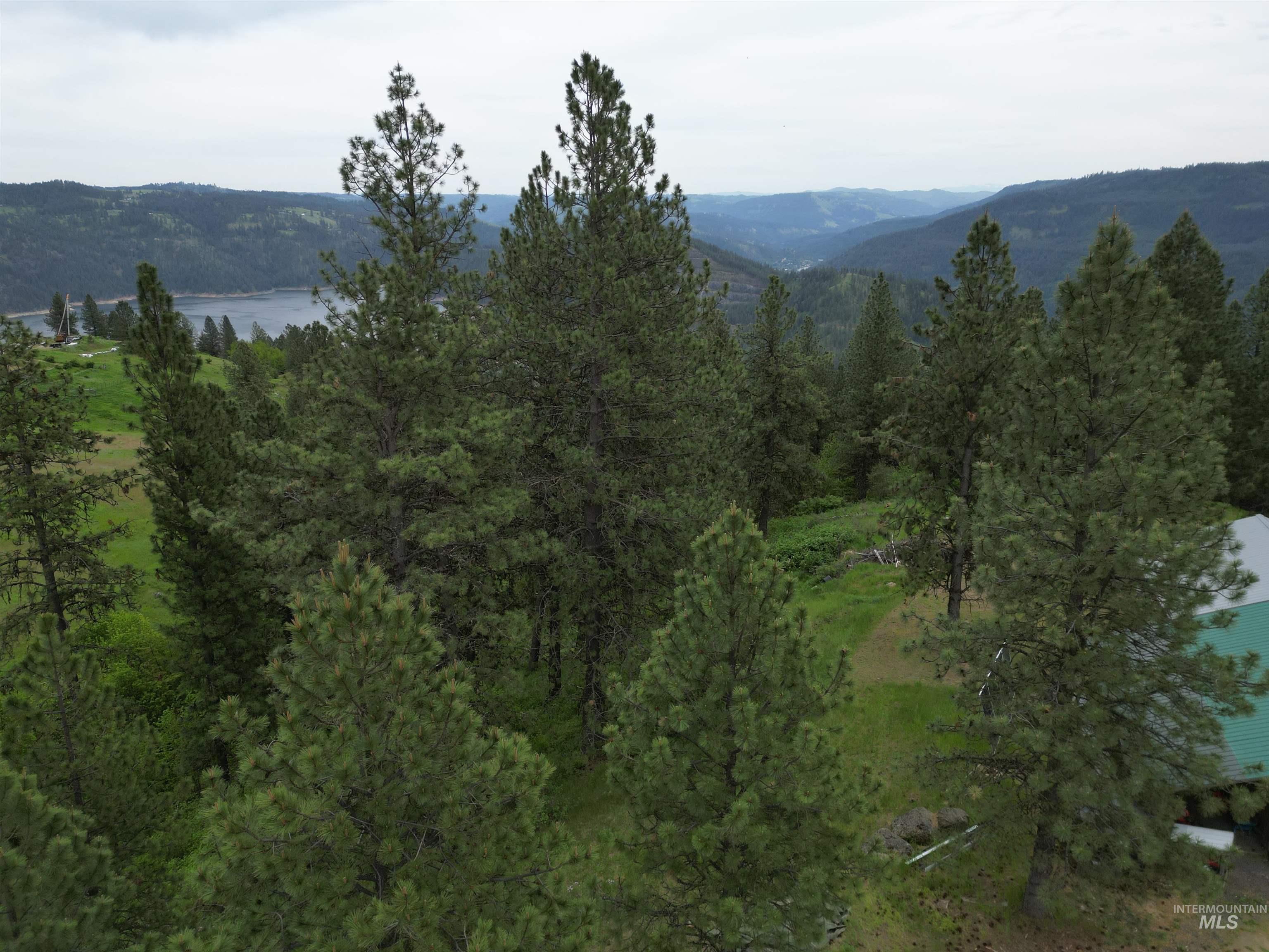 1510 Summitview Driave, Ahsahka, Idaho 83520, 2 Bedrooms, 1 Bathroom, Residential For Sale, Price $225,000,MLS 98985626