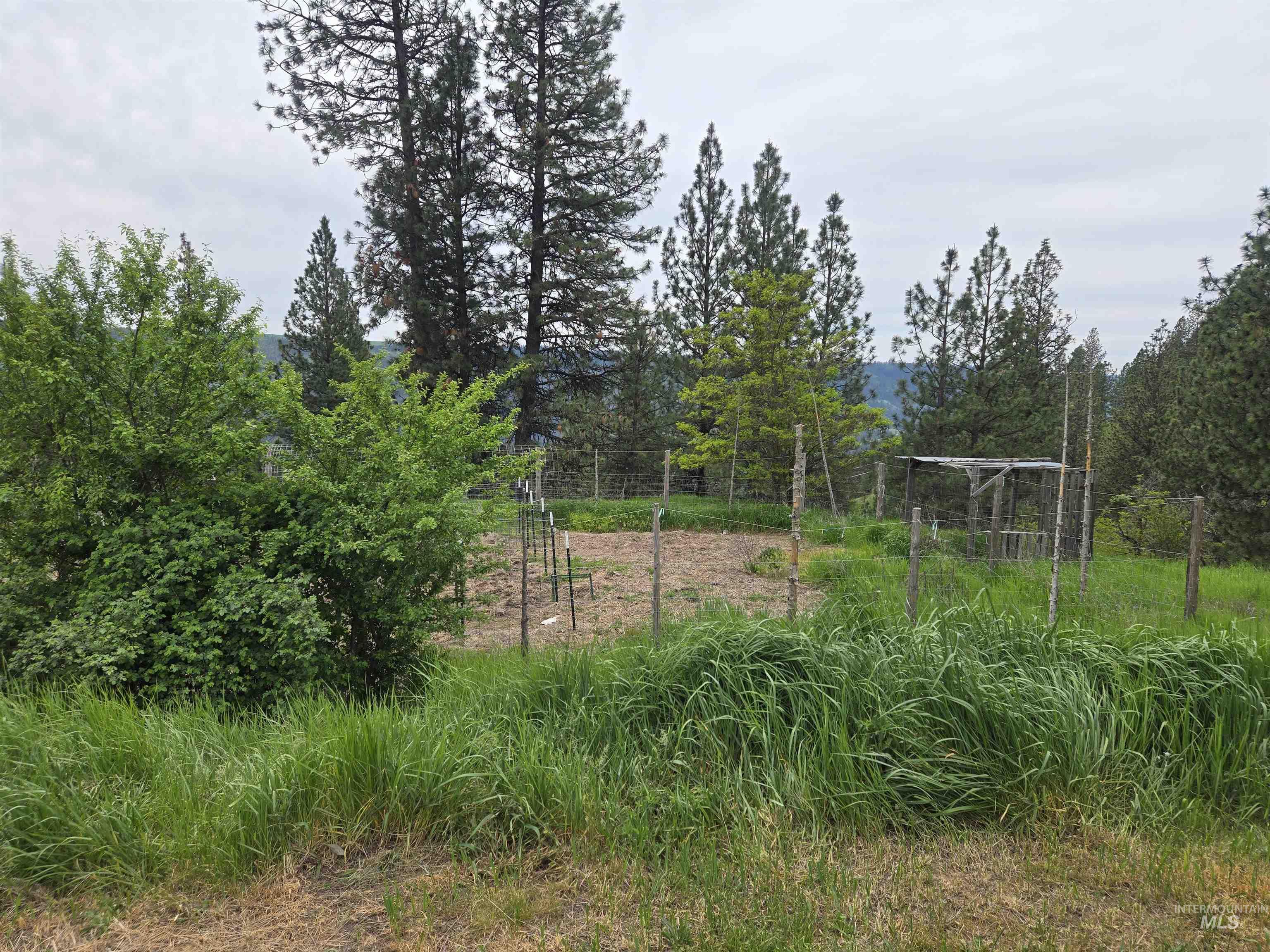 1510 Summitview Driave, Ahsahka, Idaho 83520, 2 Bedrooms, 1 Bathroom, Residential For Sale, Price $225,000,MLS 98985626