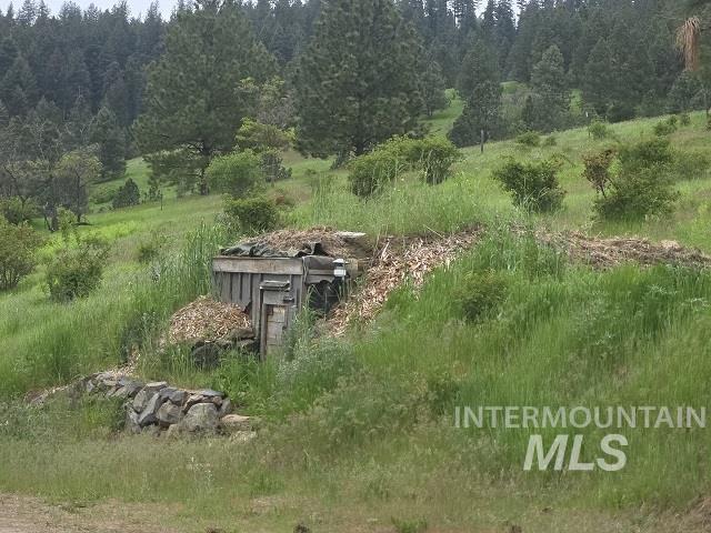 1510 Summitview Driave, Ahsahka, Idaho 83520, 2 Bedrooms, 1 Bathroom, Residential For Sale, Price $225,000,MLS 98985626