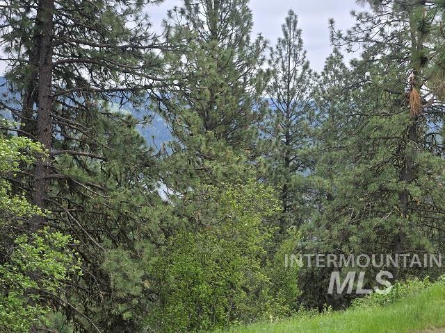 1510 Summitview Driave, Ahsahka, Idaho 83520, 2 Bedrooms, 1 Bathroom, Residential For Sale, Price $225,000,MLS 98985626