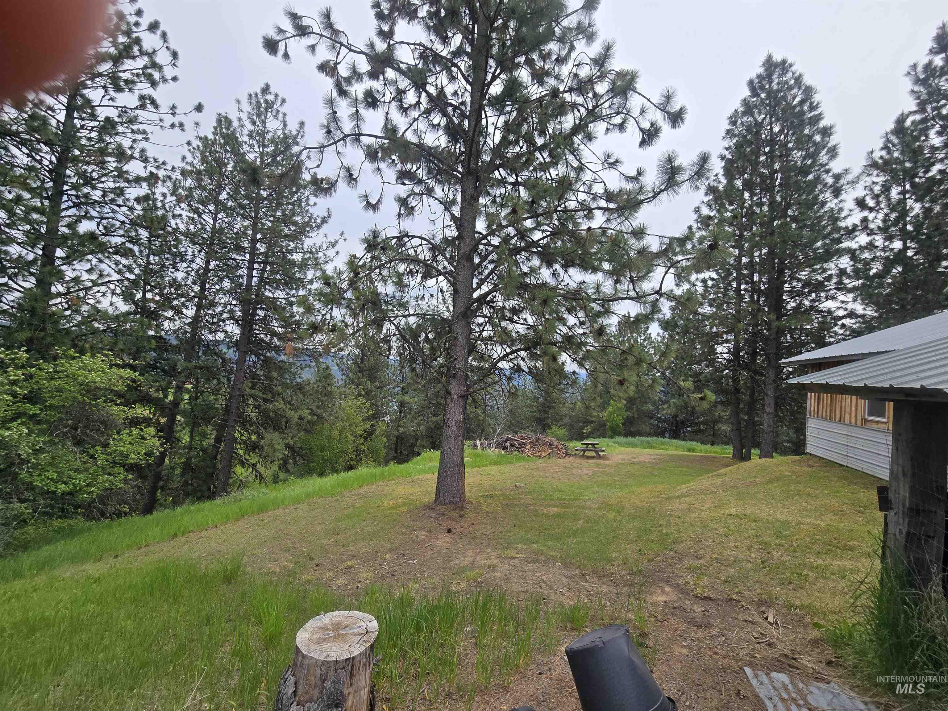 1510 Summitview Driave, Ahsahka, Idaho 83520, 2 Bedrooms, 1 Bathroom, Residential For Sale, Price $225,000,MLS 98985626