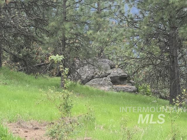 1510 Summitview Driave, Ahsahka, Idaho 83520, 2 Bedrooms, 1 Bathroom, Residential For Sale, Price $225,000,MLS 98985626