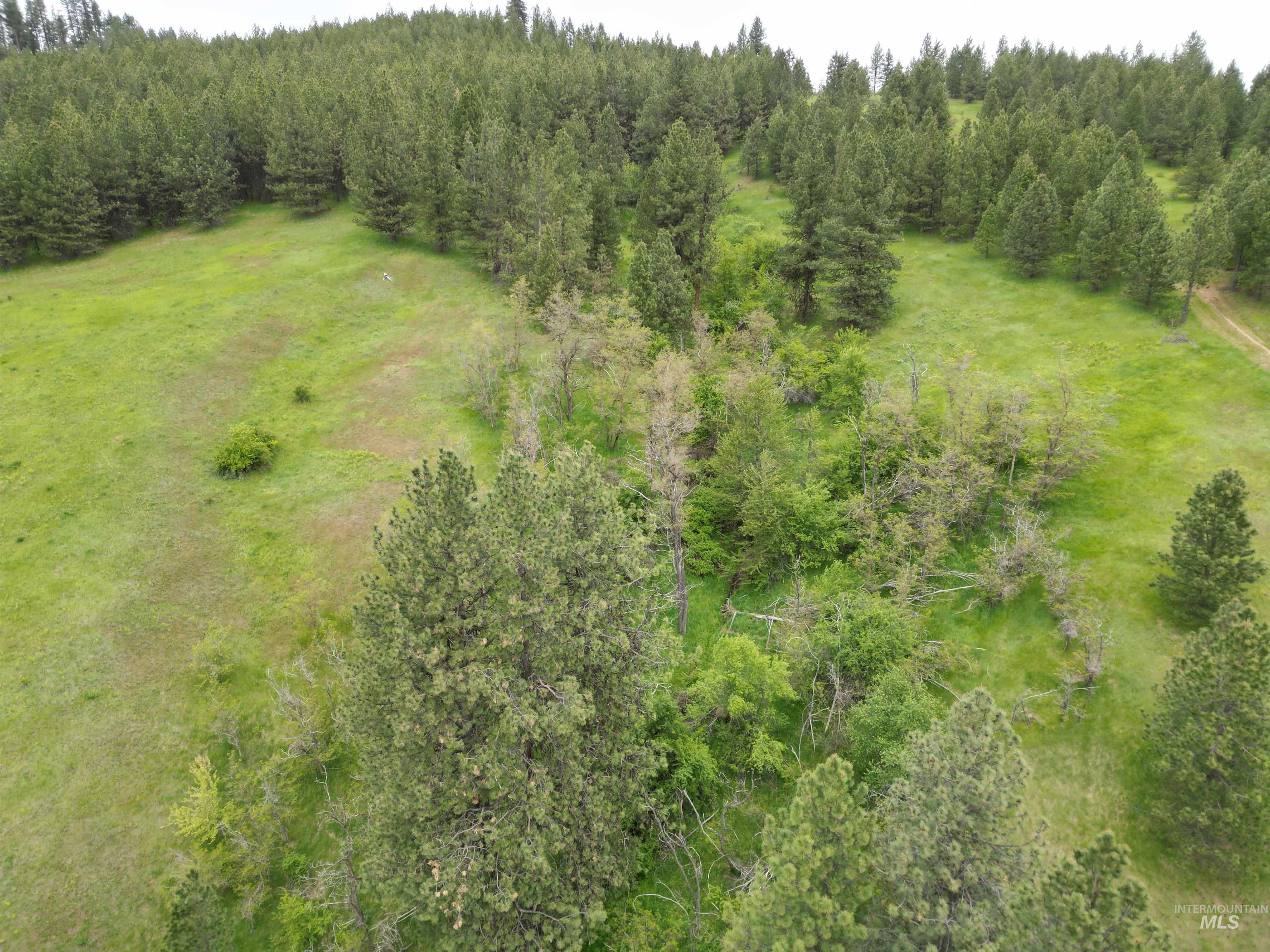 1510 Summitview Driave, Ahsahka, Idaho 83520, 2 Bedrooms, 1 Bathroom, Residential For Sale, Price $225,000,MLS 98985626