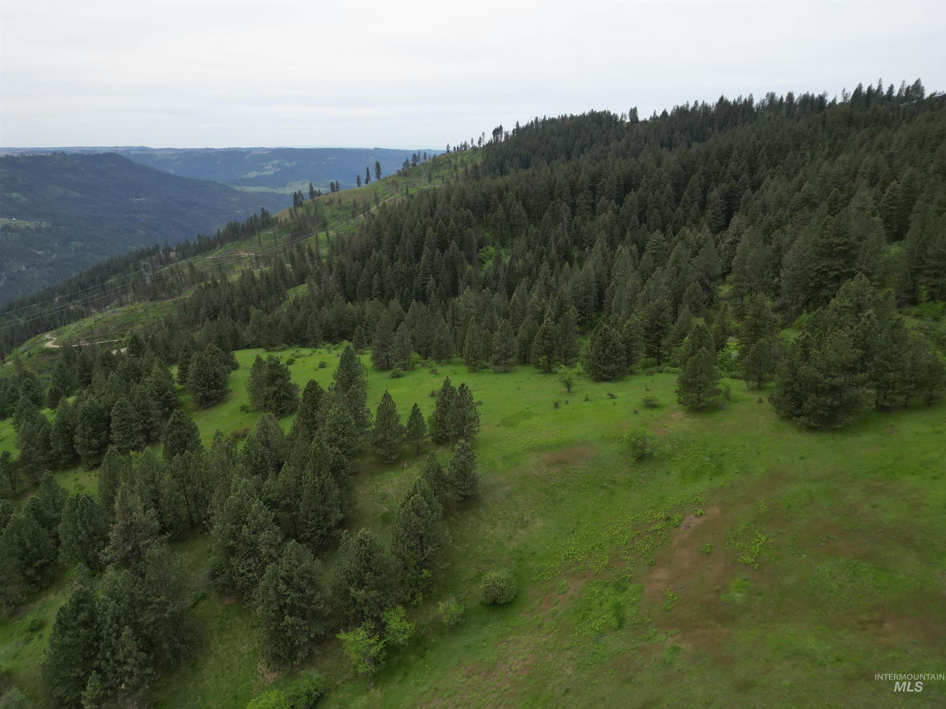 1510 Summitview Driave, Ahsahka, Idaho 83520, 2 Bedrooms, 1 Bathroom, Residential For Sale, Price $225,000,MLS 98985626