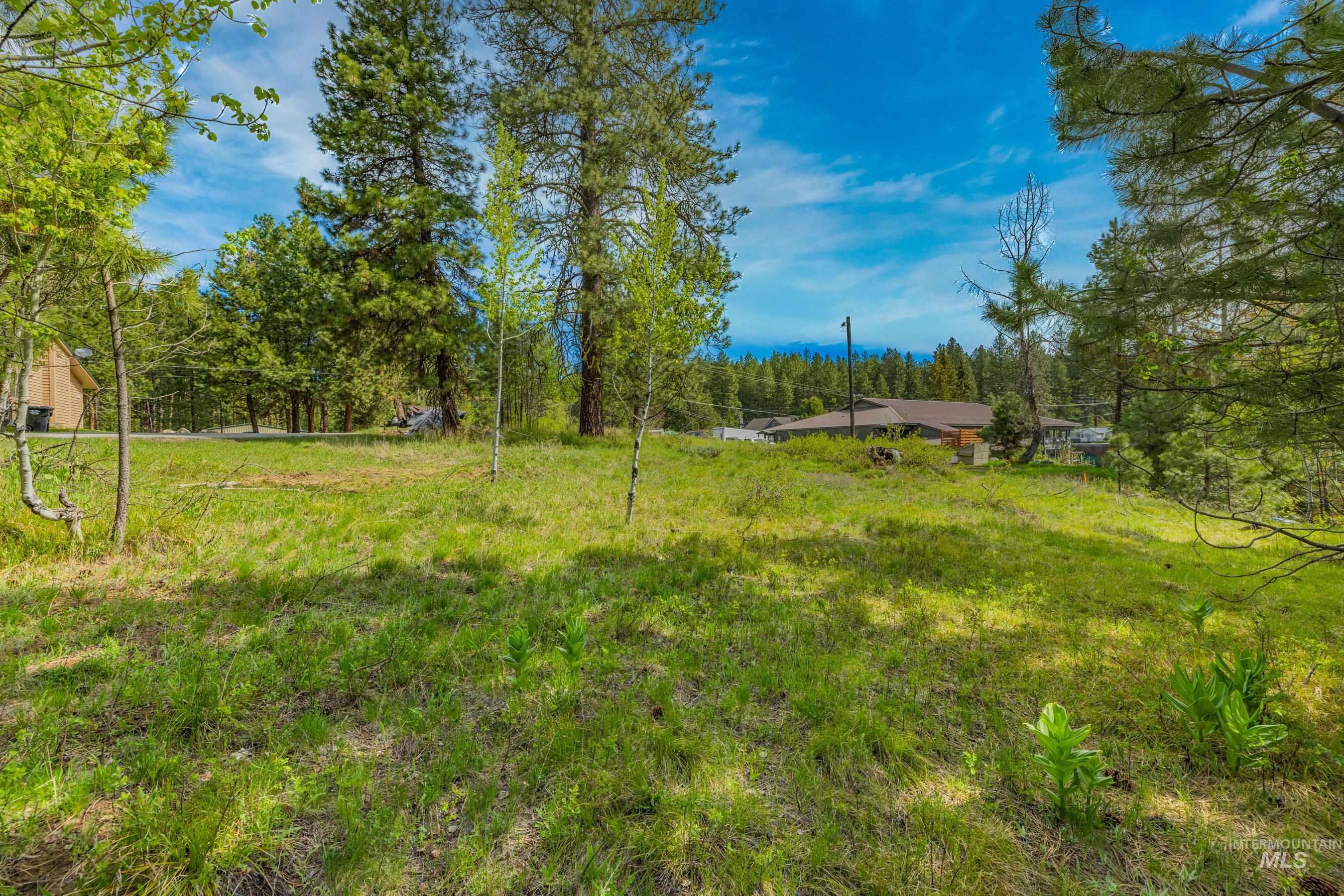 300 Floyde Street, McCall, Idaho 83638, 2 Bedrooms, 1 Bathroom, Residential Income For Sale, Price $1,295,000,MLS 98985633