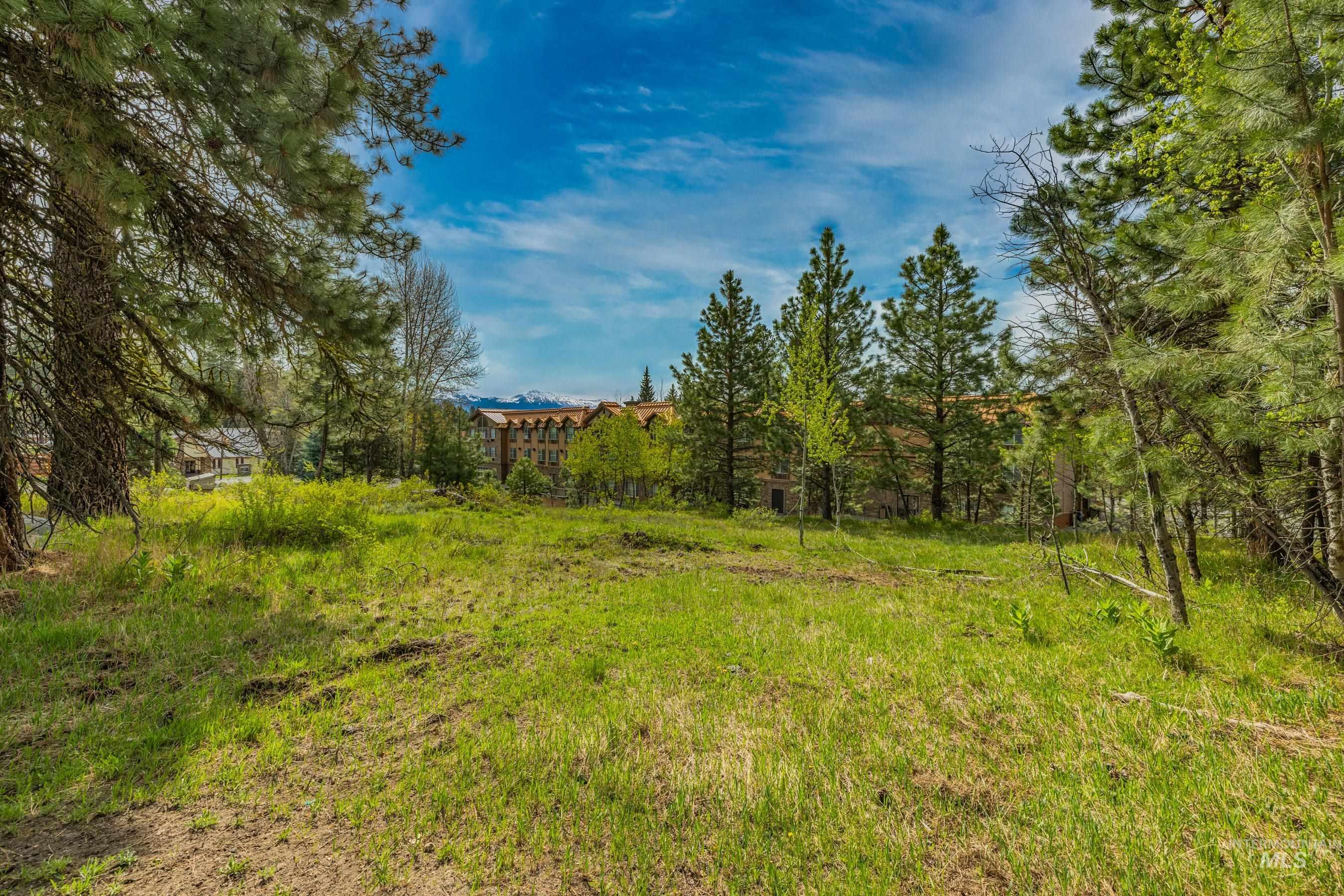 300 Floyde Street, McCall, Idaho 83638, 2 Bedrooms, 1 Bathroom, Residential Income For Sale, Price $1,295,000,MLS 98985633