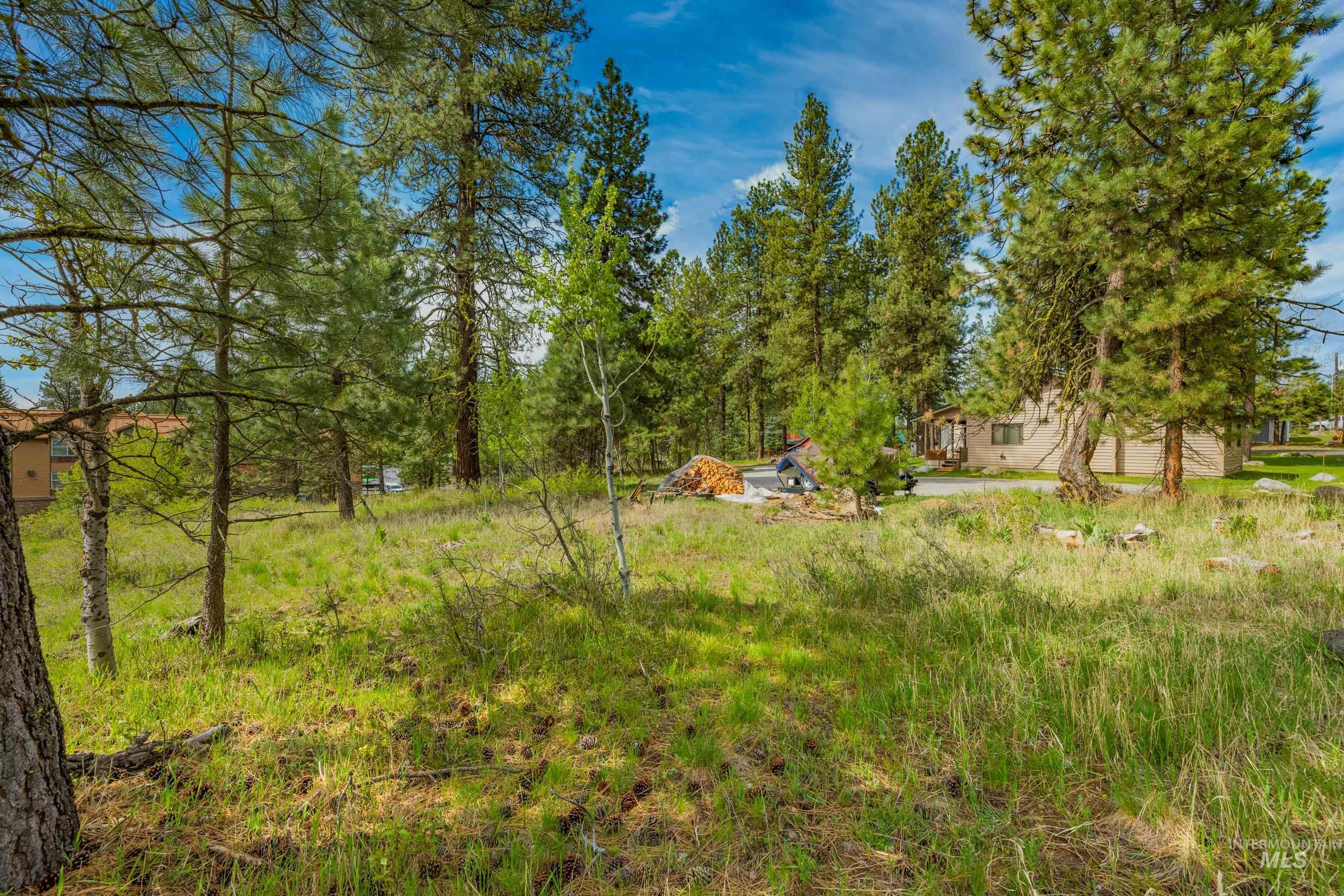 300 Floyde, McCall, Idaho 83638, Land For Sale, Price $1,295,000,MLS 98985639