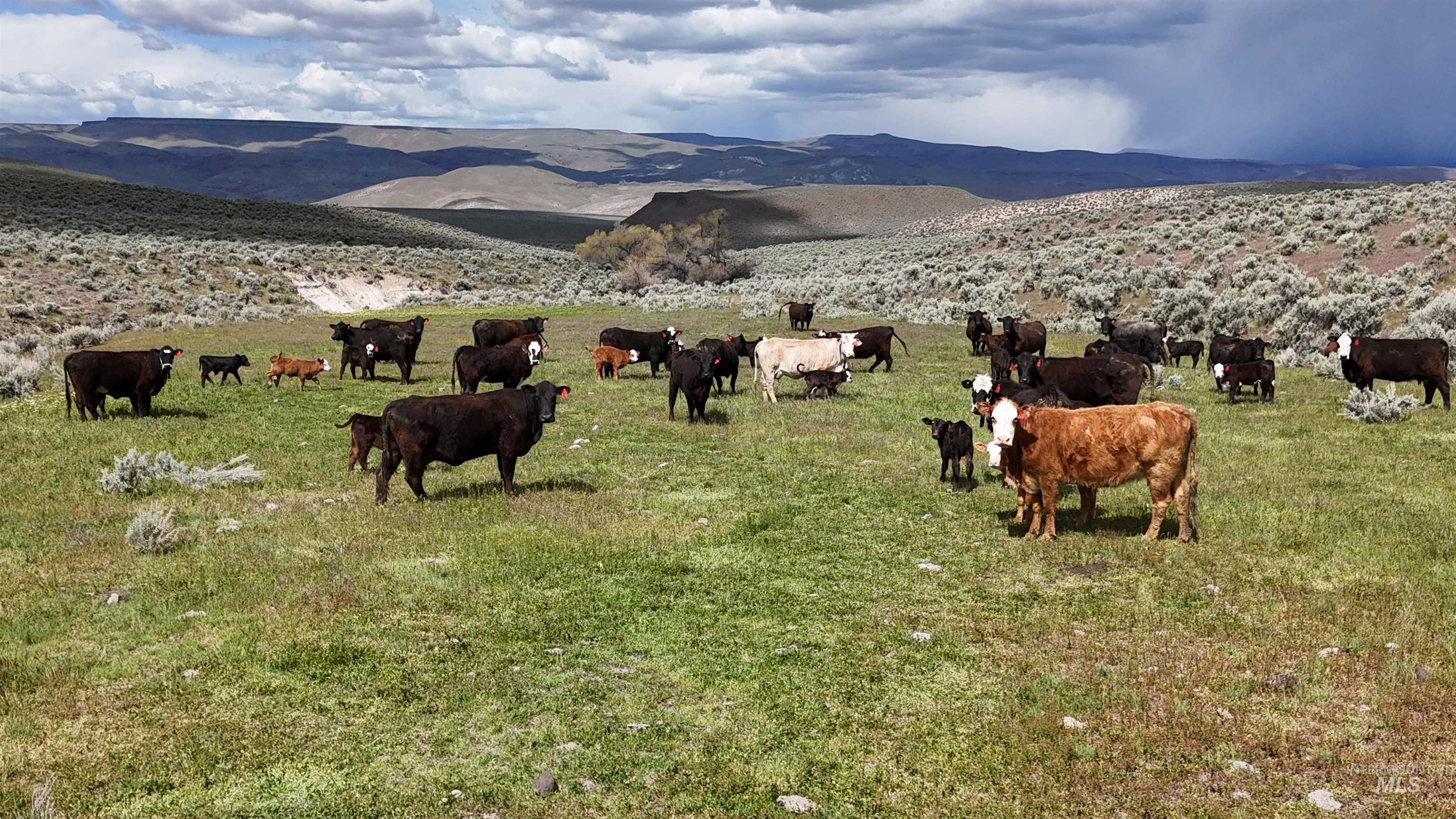 TBD Crowley Rd, Harper, Oregon 97906, Land For Sale, Price $700,000,MLS 98985667