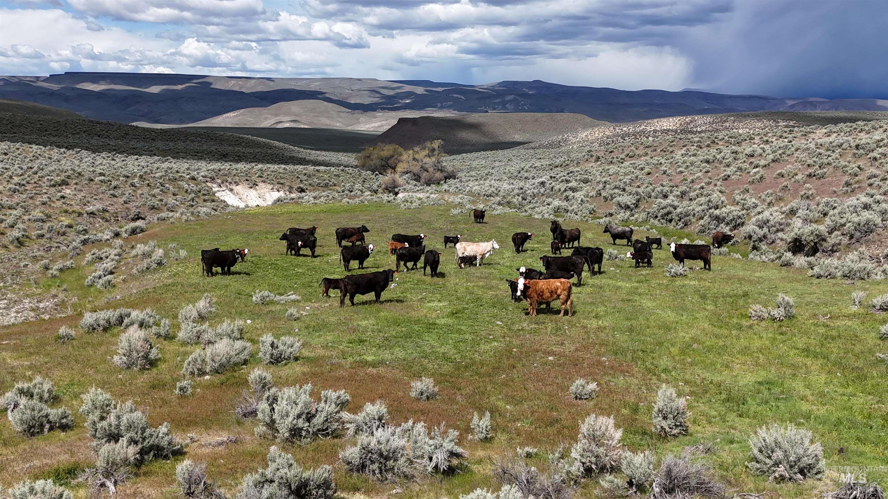 TBD Crowley Rd, Harper, Oregon 97906, Land For Sale, Price $700,000,MLS 98985667